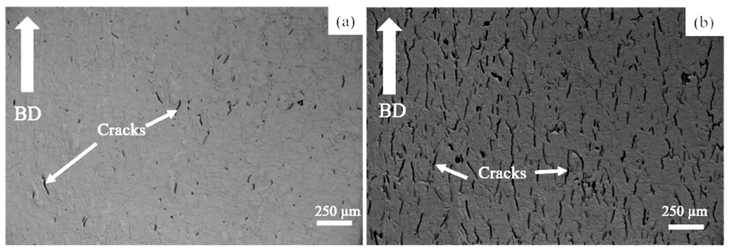 Materials 14 01143 g001