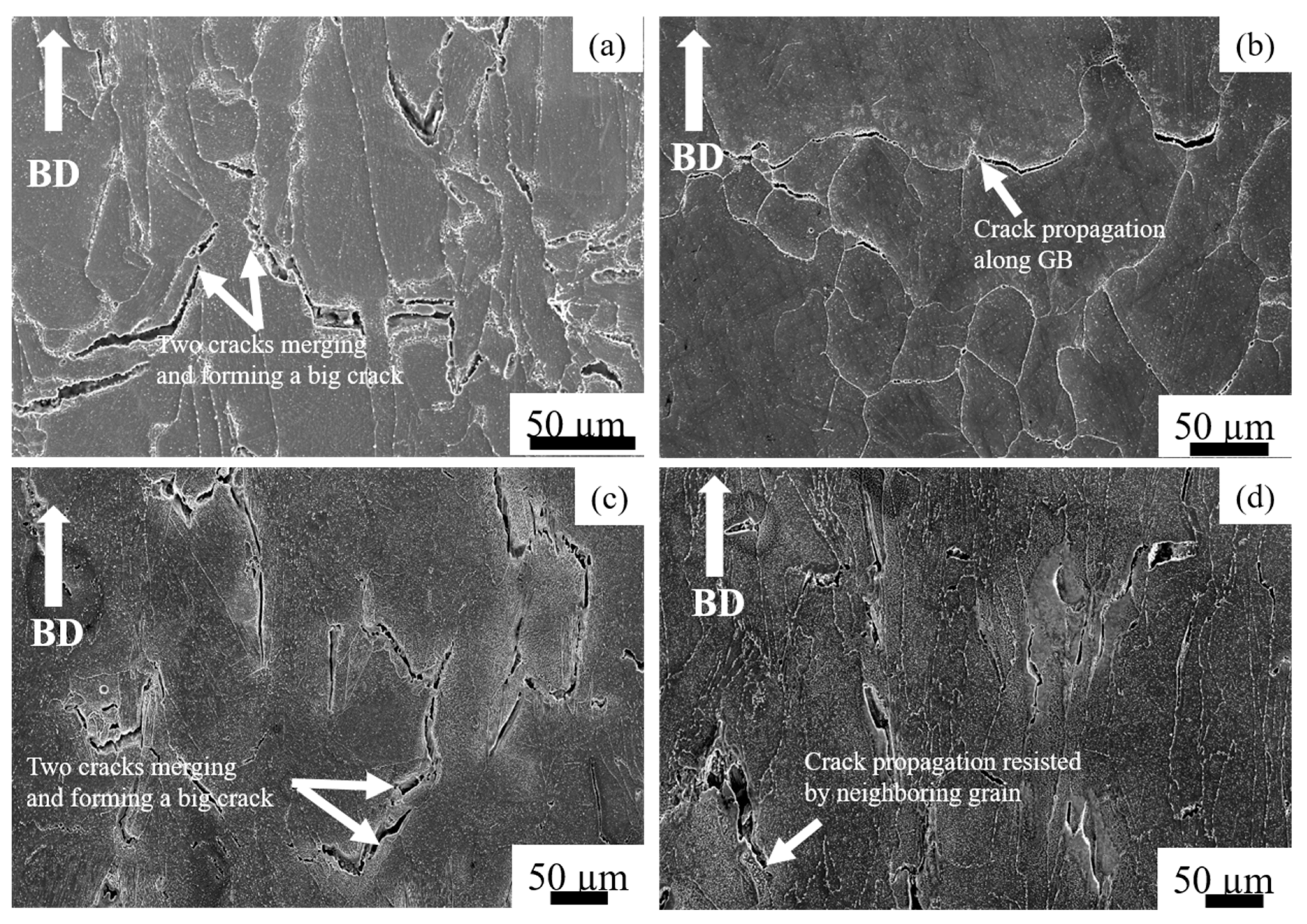 Materials 14 01143 g012