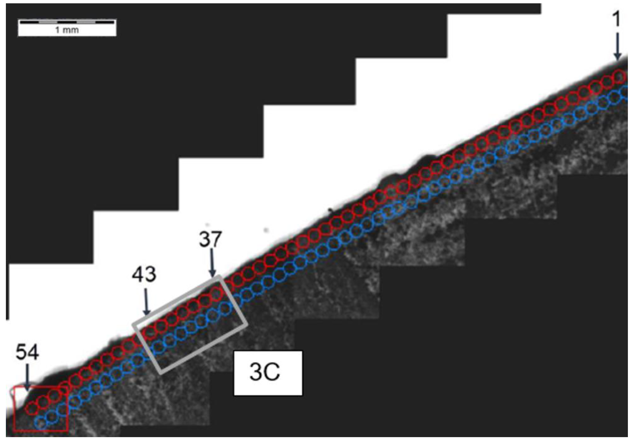 Materials 14 01155 g013