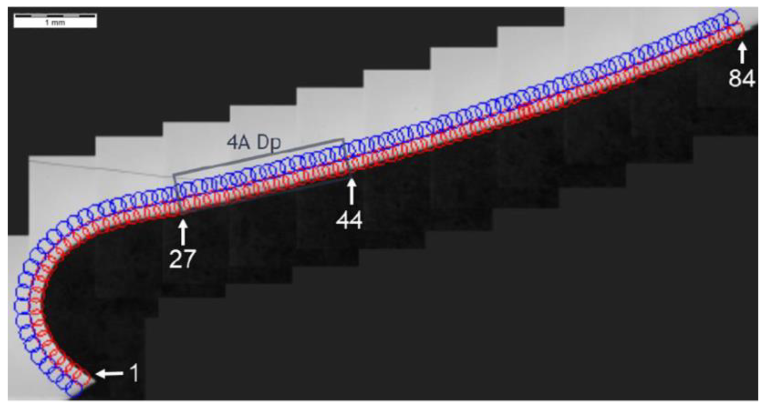 Materials 14 01155 g019
