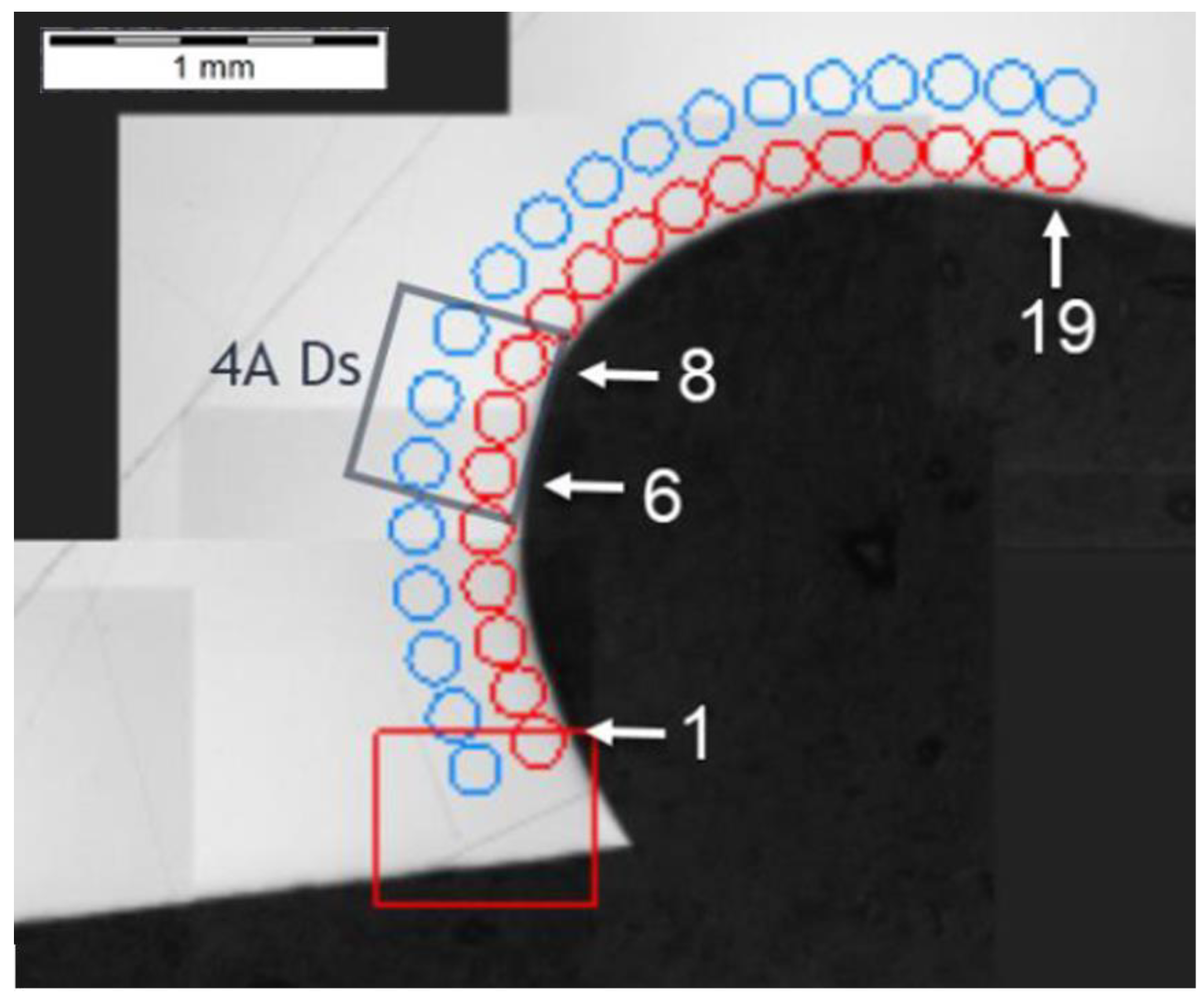 Materials 14 01155 g025