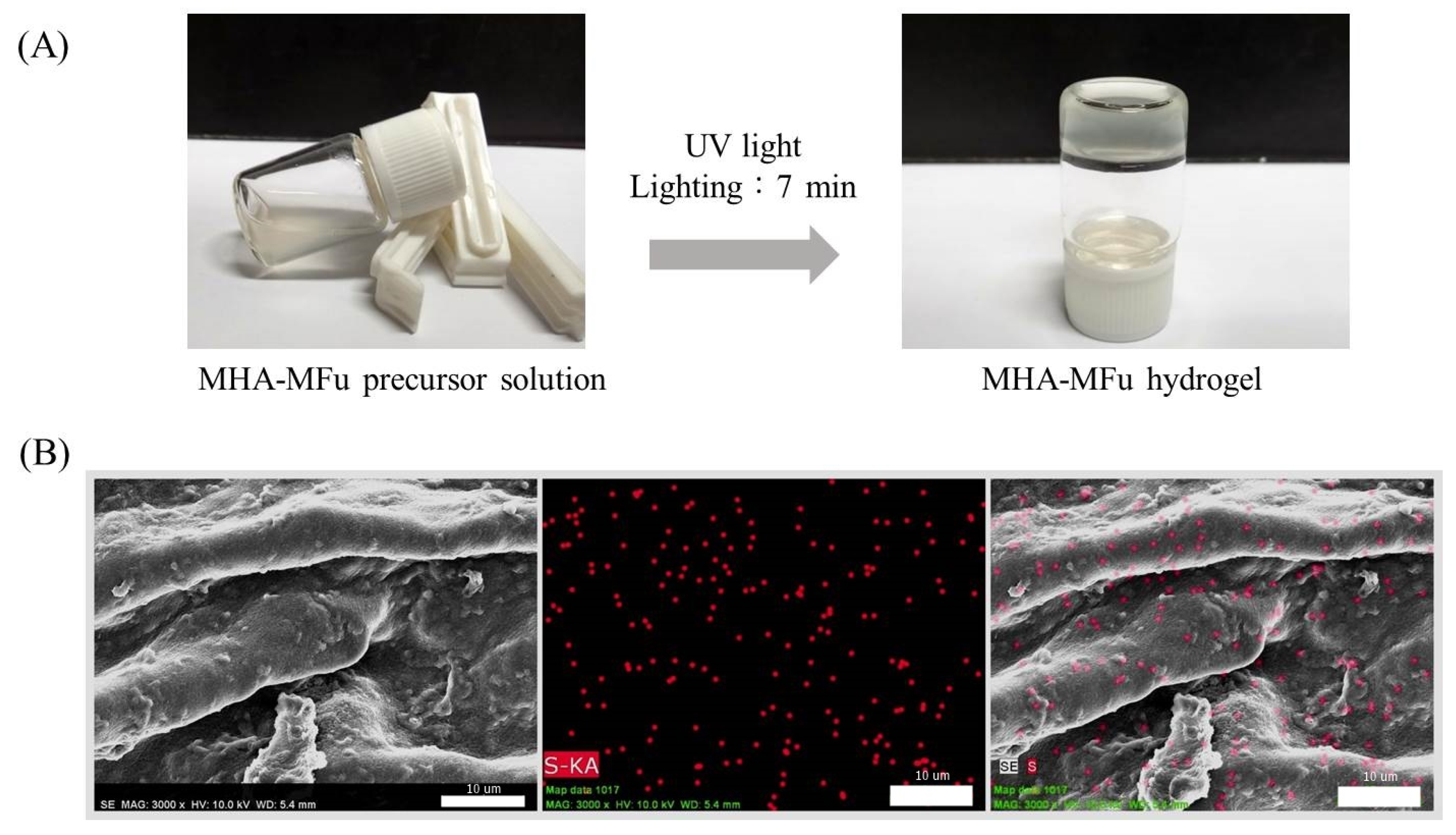 Materials 14 01168 g001 Materials 14 01168 g001