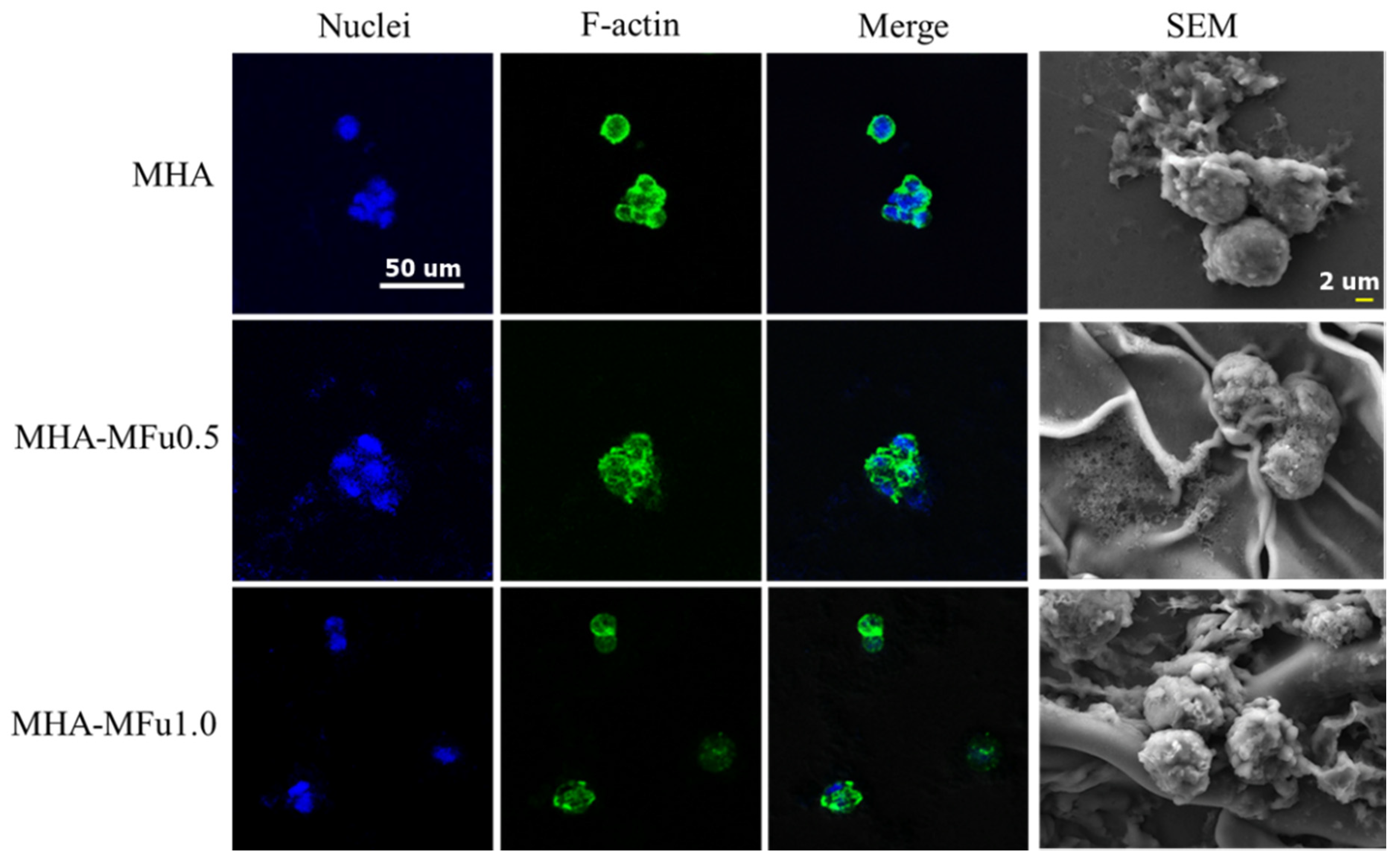 Materials 14 01168 g007 Materials 14 01168 g007