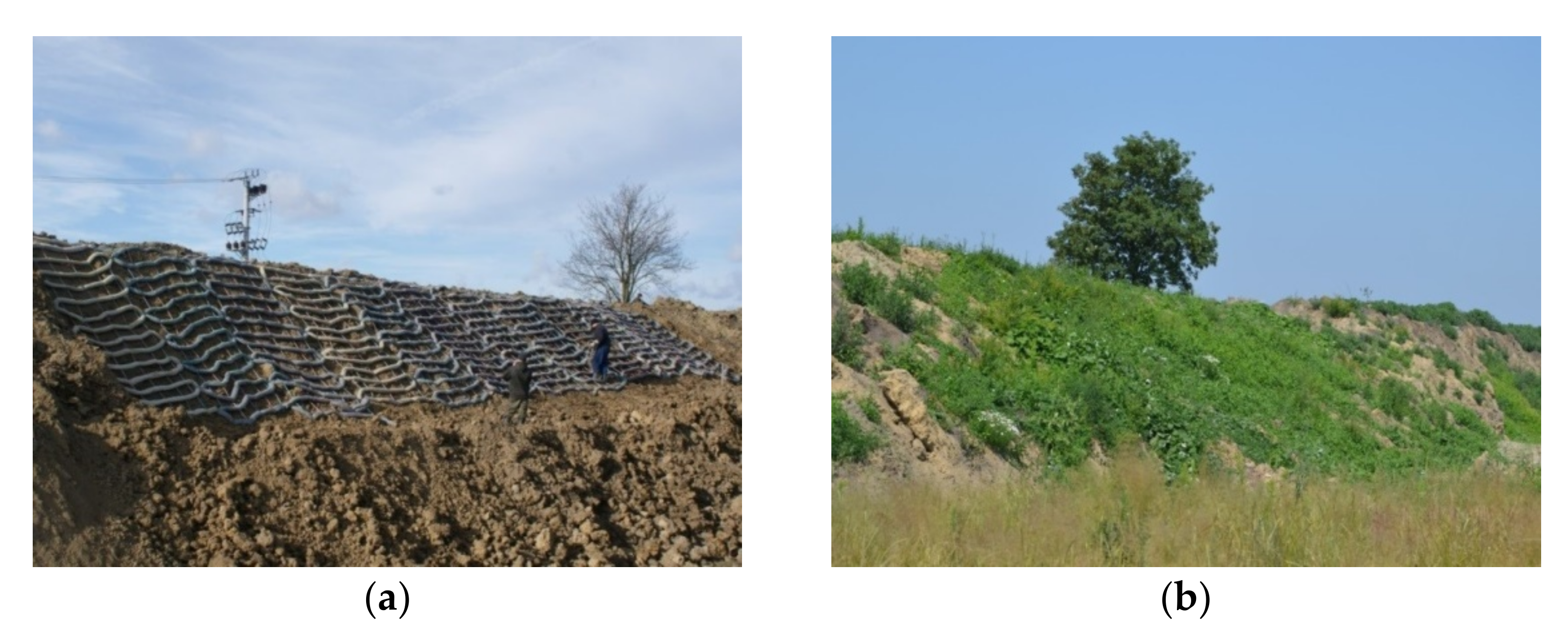 Materials 14 01179 g001