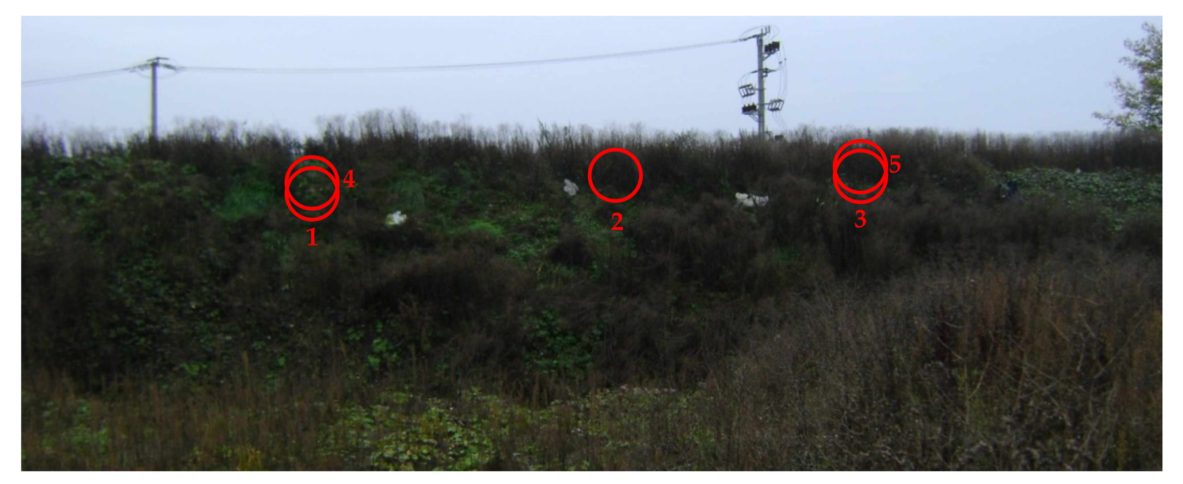 Materials 14 01179 g002