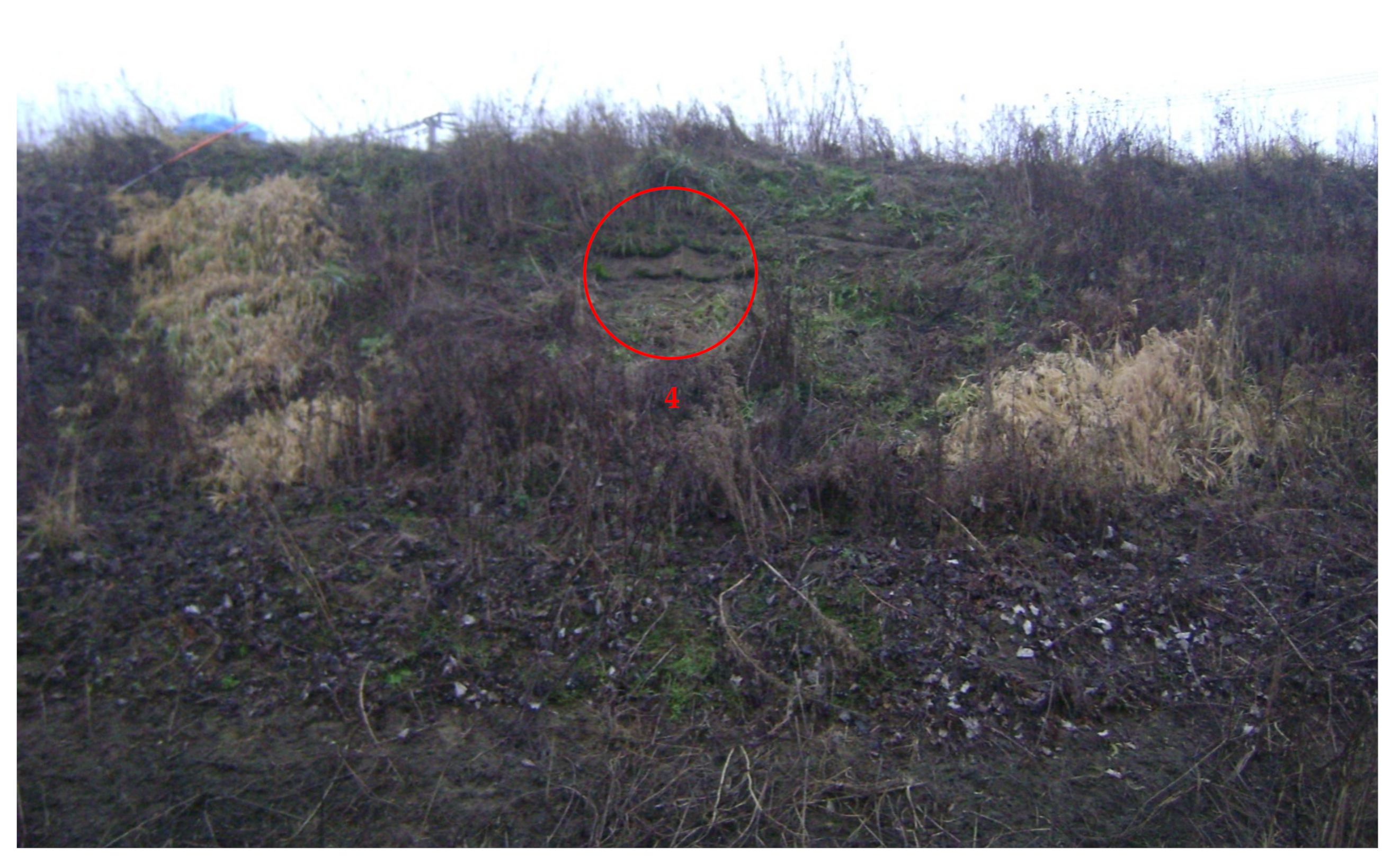 Materials 14 01179 g003