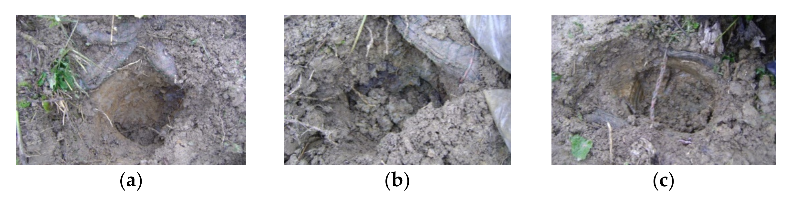 Materials 14 01179 g004