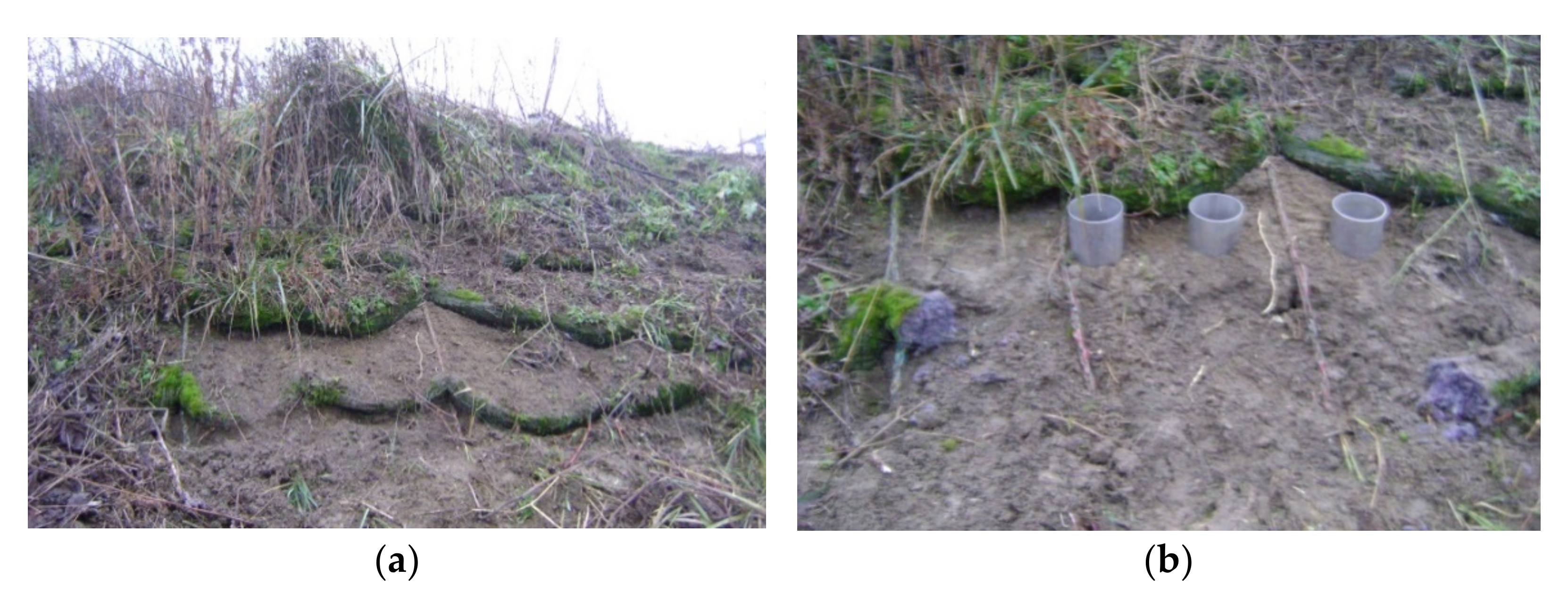 Materials 14 01179 g005