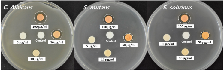 Materials 14 01193 g005 Materials 14 01193 g005