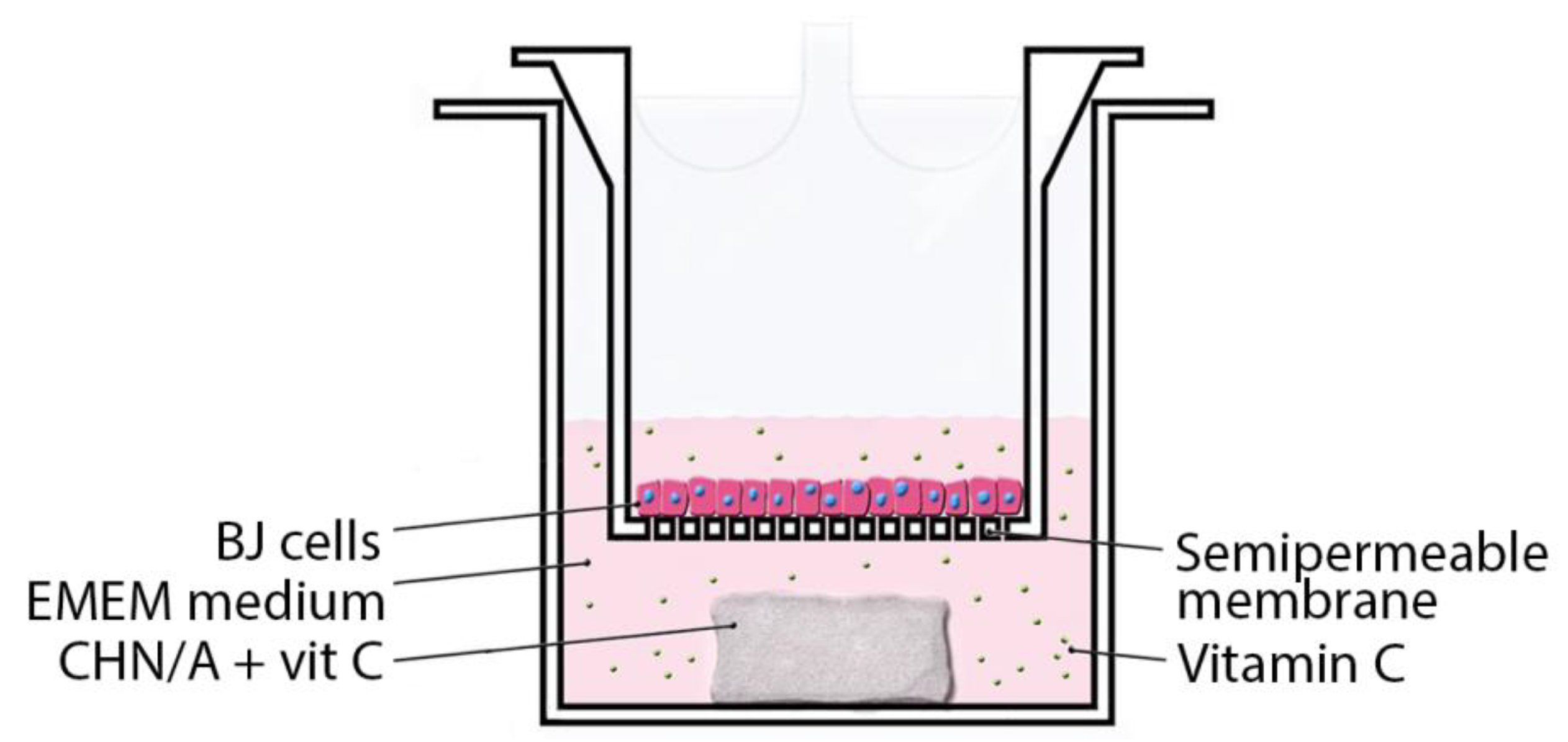 Materials 14 01211 g001