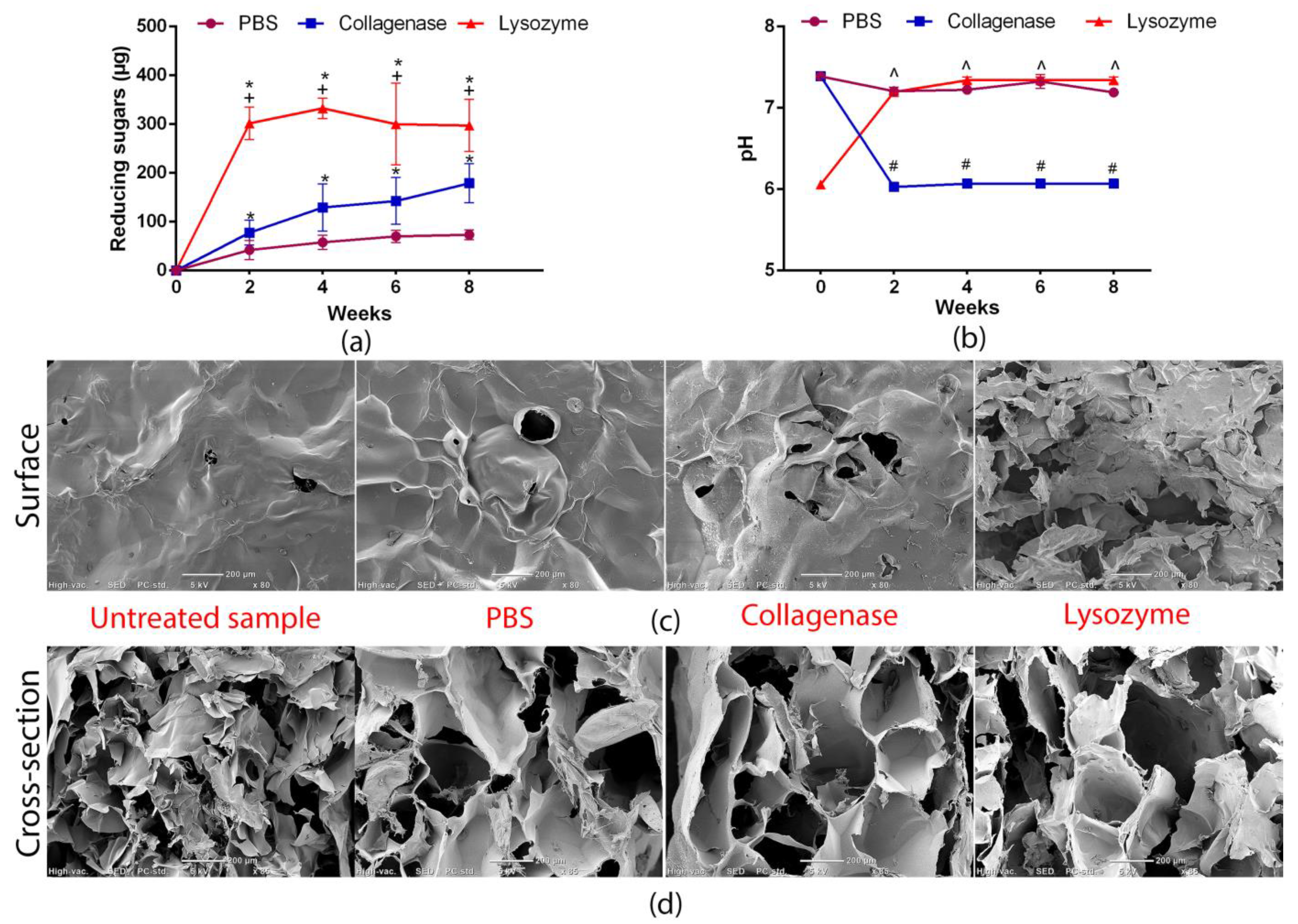 Materials 14 01211 g005