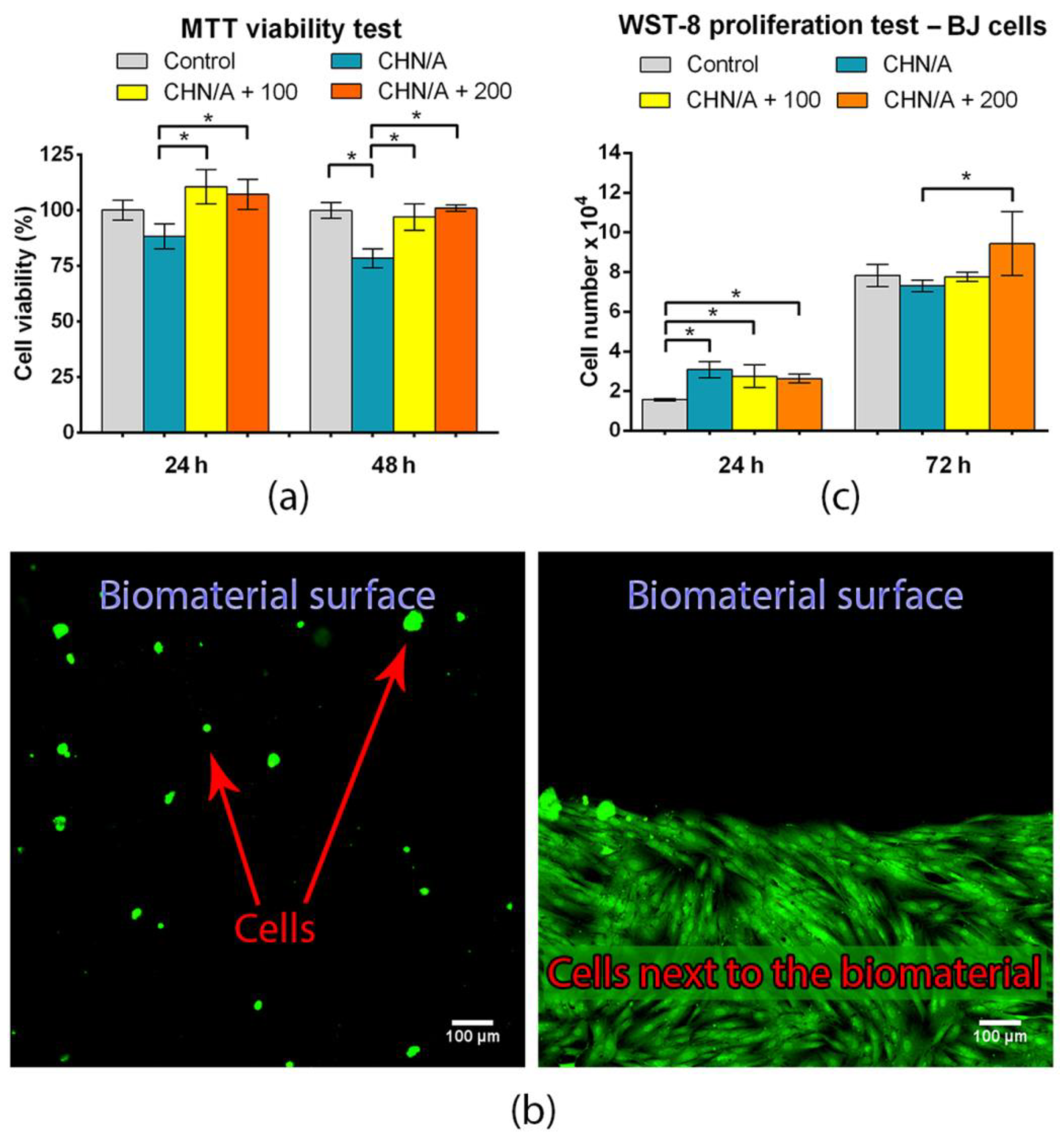 Materials 14 01211 g008
