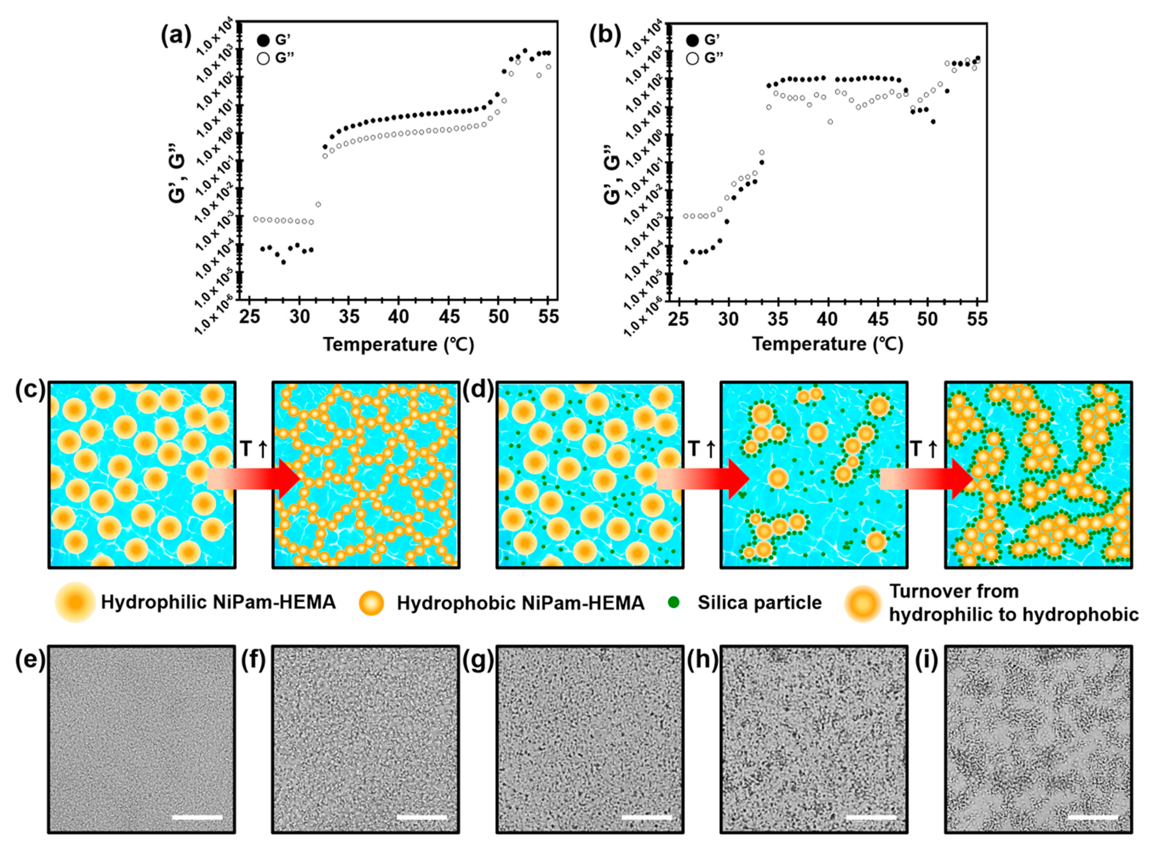 Materials 14 01212 g004