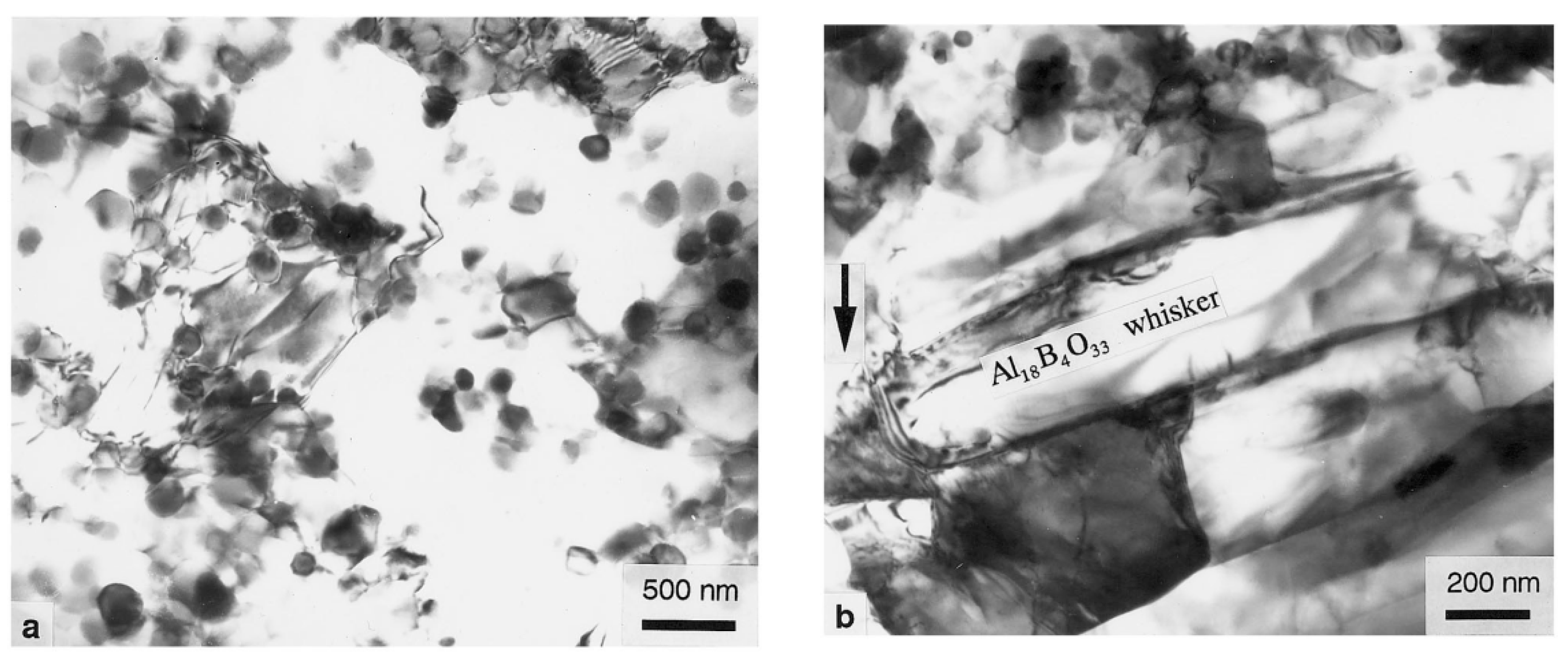 Materials 14 01217 g005 Materials 14 01217 g005