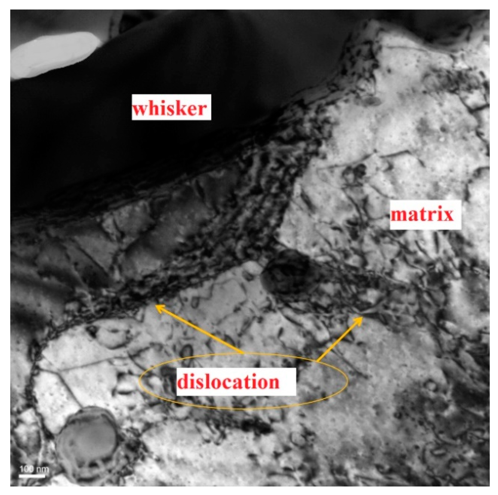 Materials 14 01217 g008 Materials 14 01217 g008