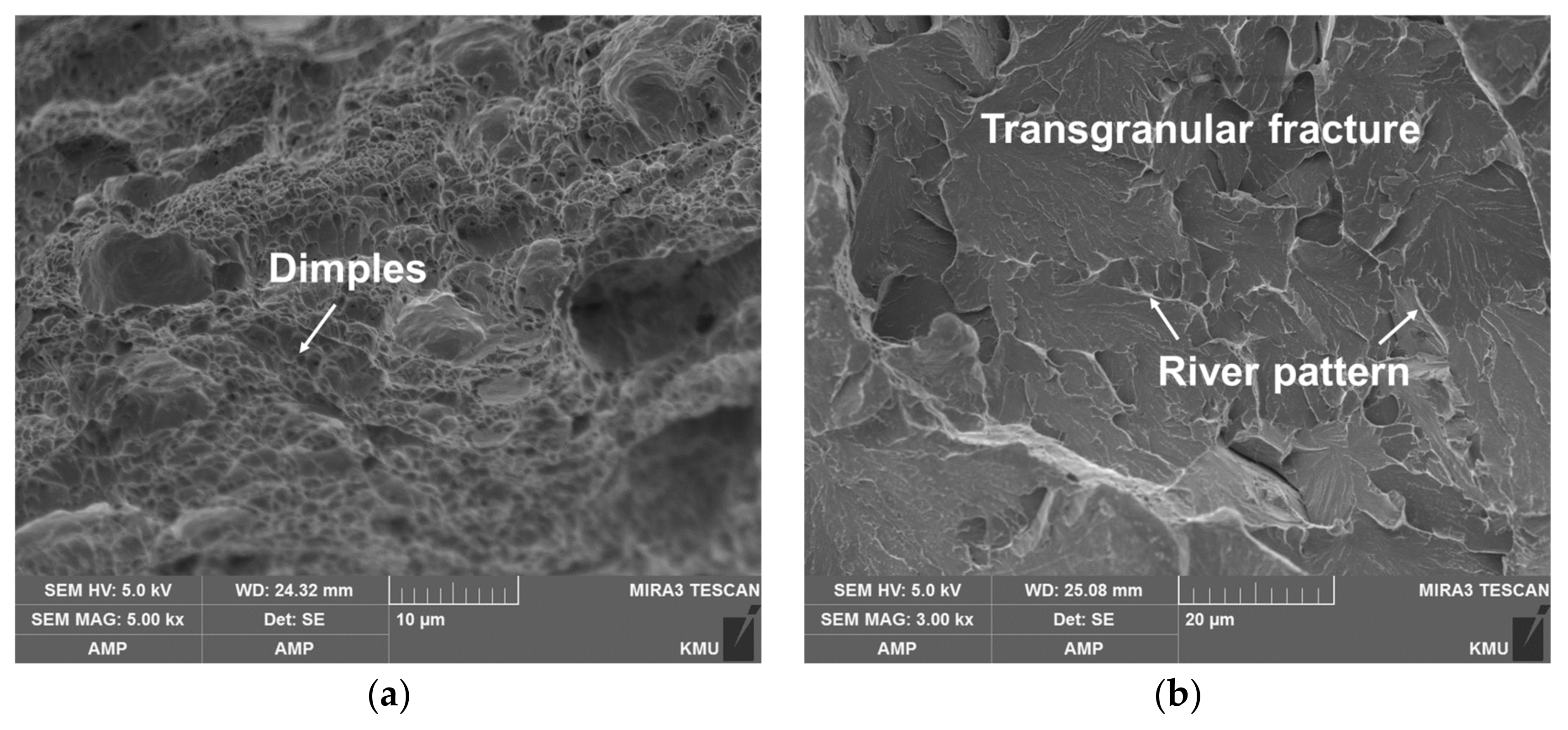 Materials 14 01231 g014a Materials 14 01231 g014a