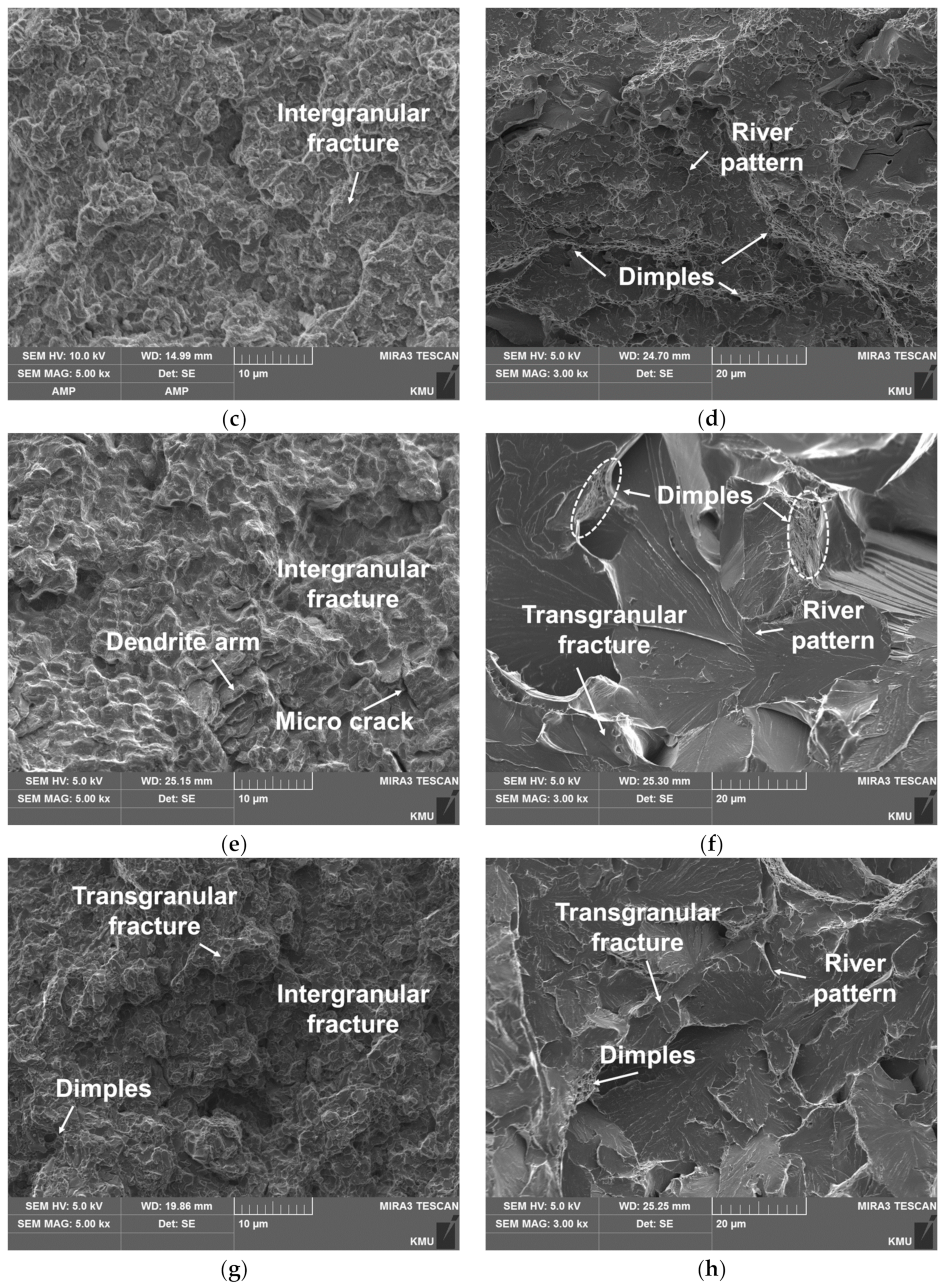 Materials 14 01231 g014b Materials 14 01231 g014b