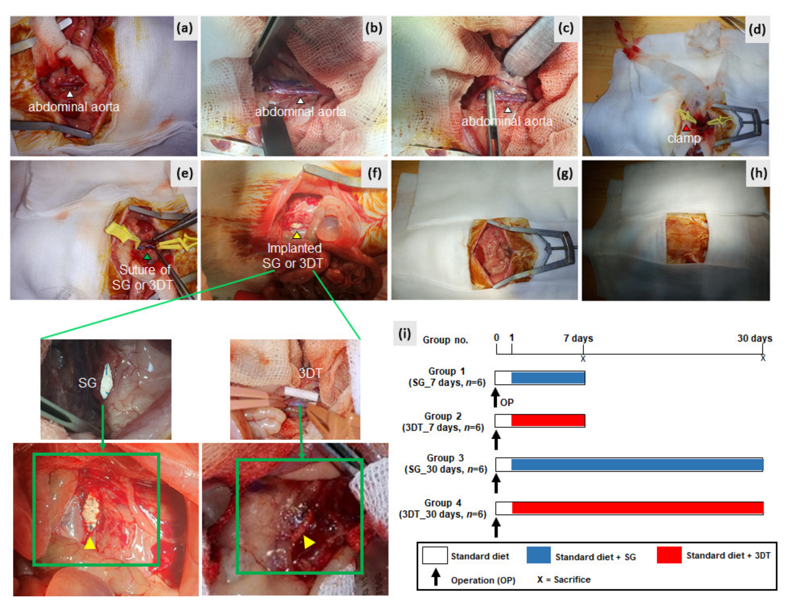 Materials 14 01239 g001 Materials 14 01239 g001
