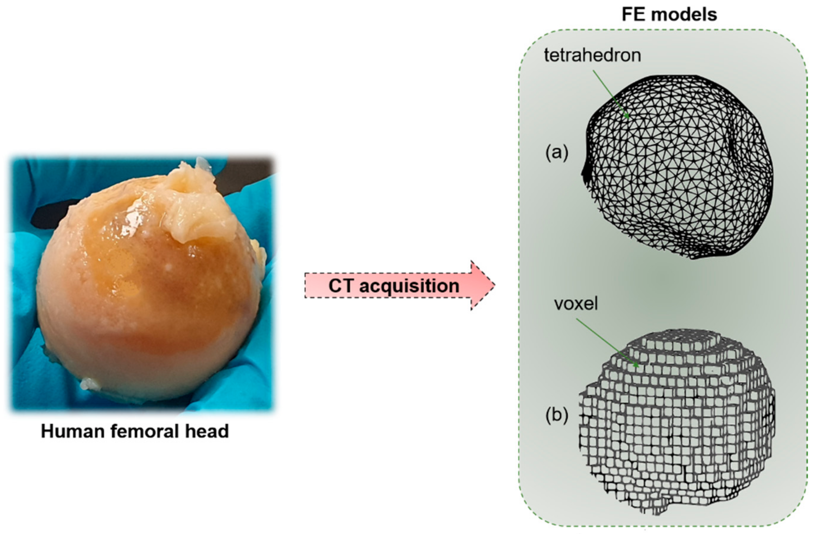 Materials 14 01240 g008 Materials 14 01240 g008