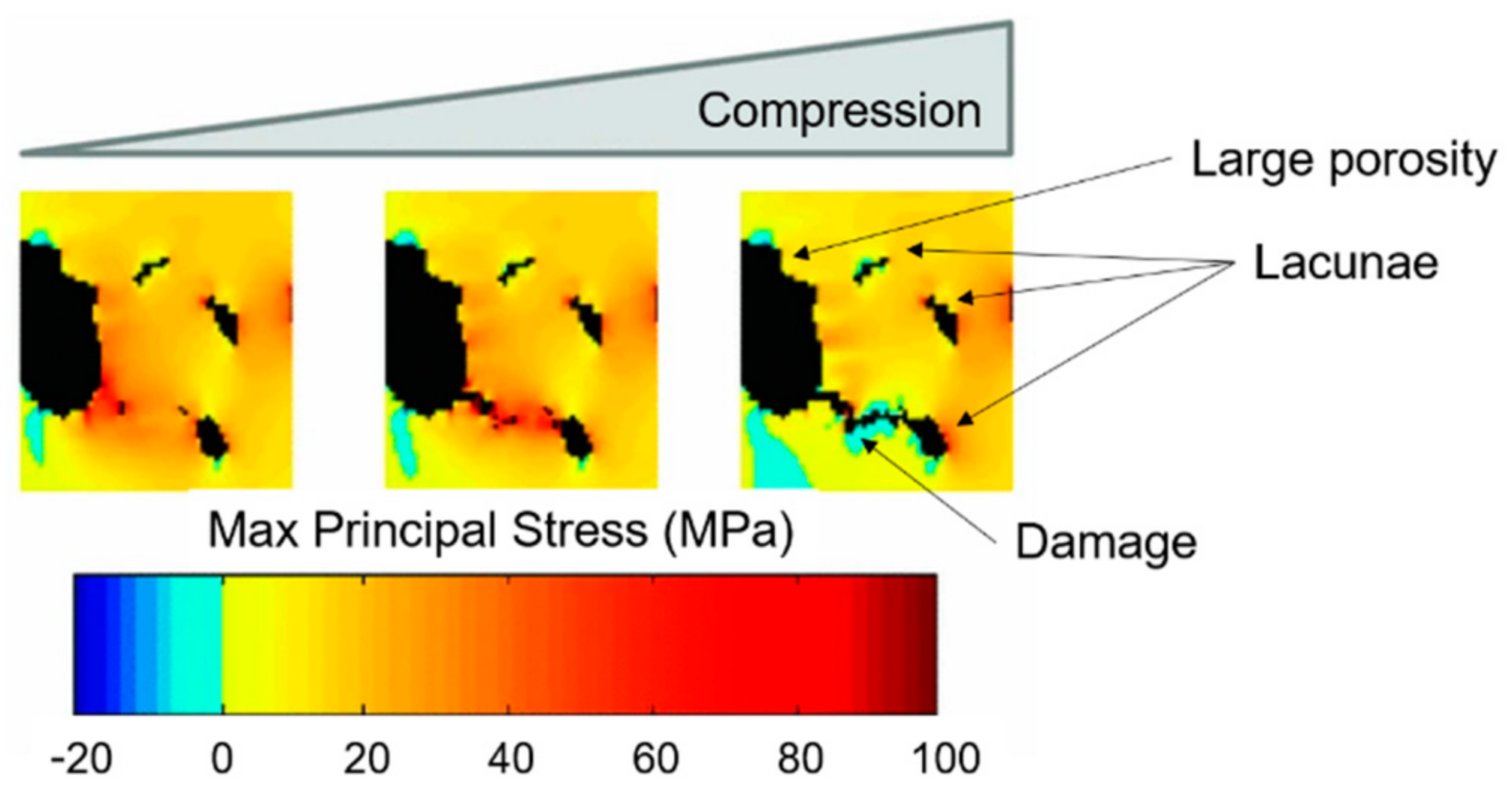 Materials 14 01240 g012 Materials 14 01240 g012