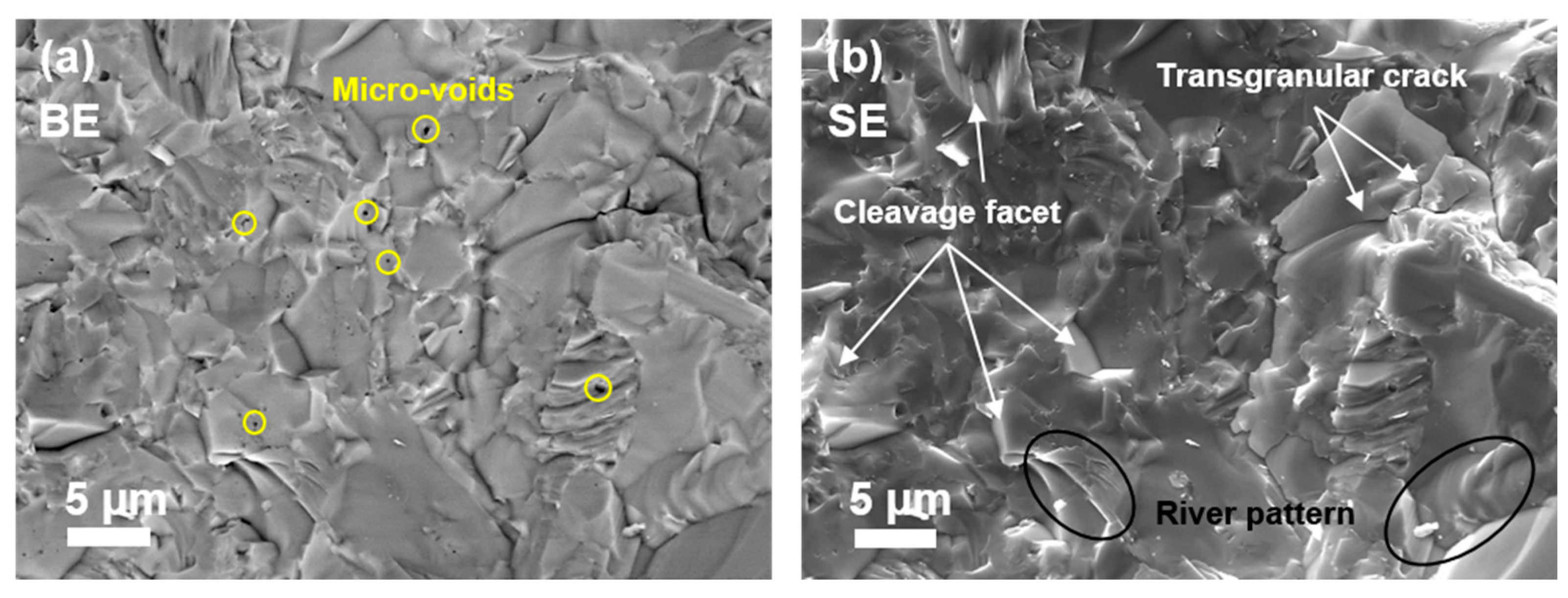 Materials 14 01242 g003
