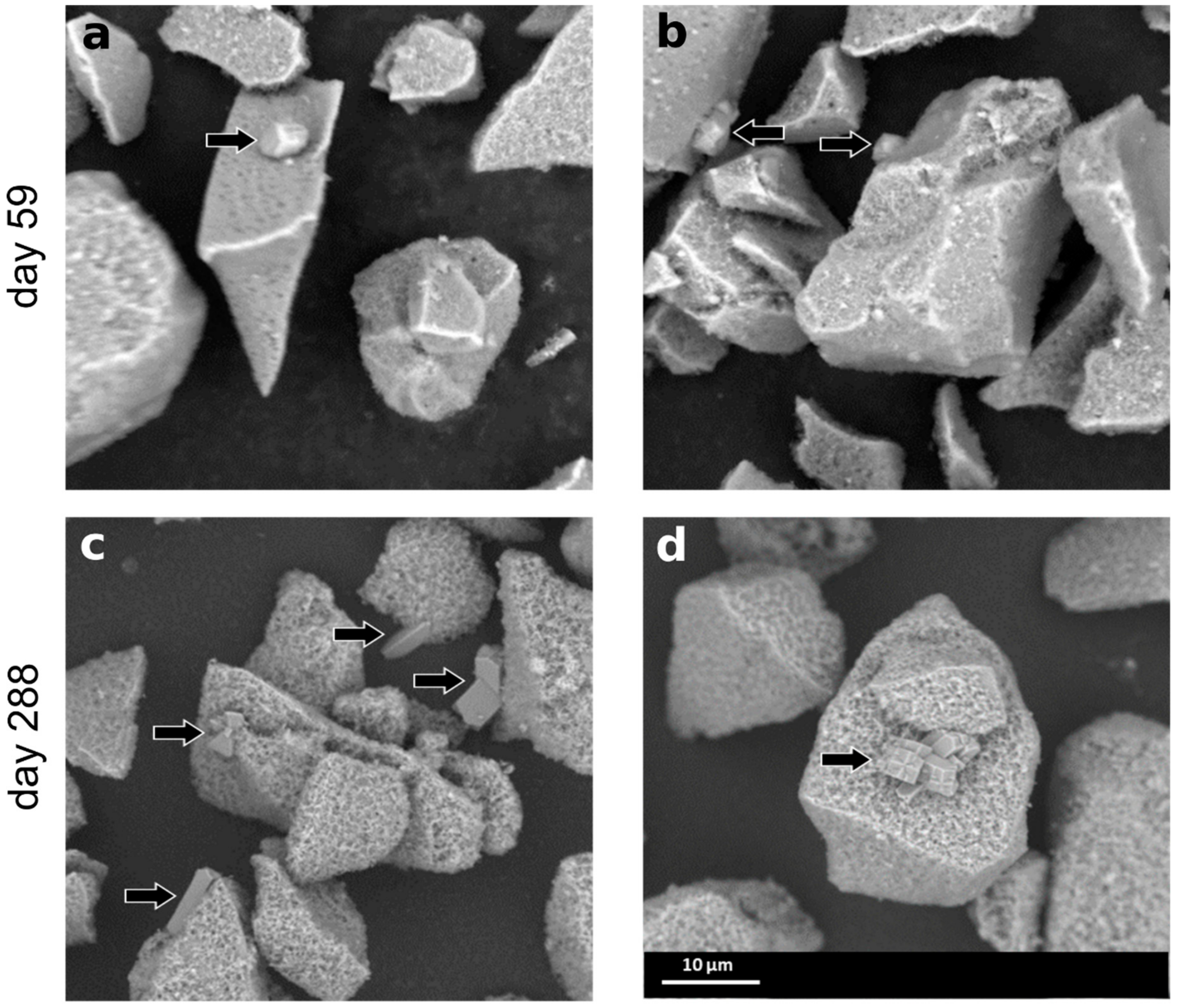 Materials 14 01254 g004