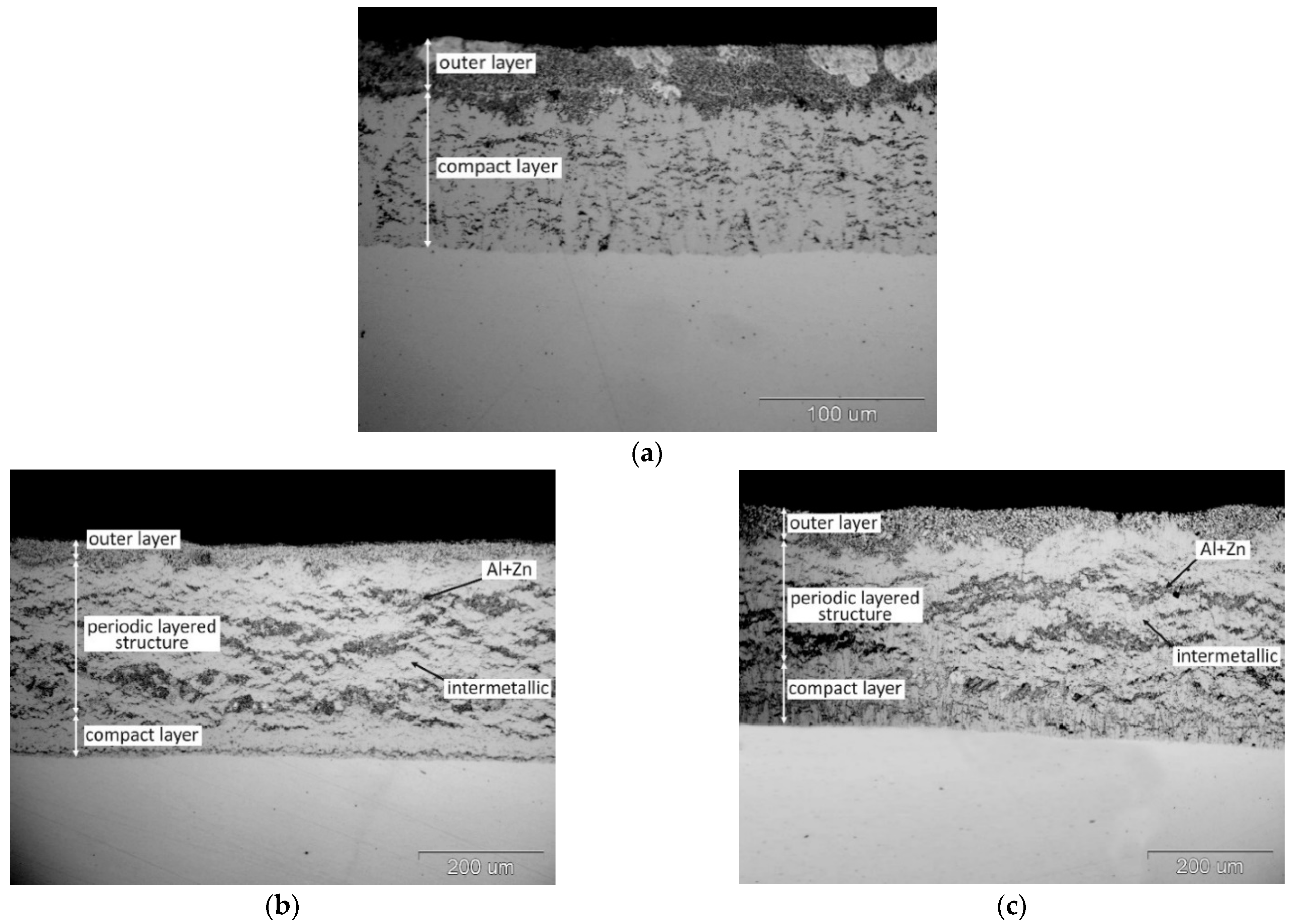 Materials 14 01259 g001a Materials 14 01259 g001a