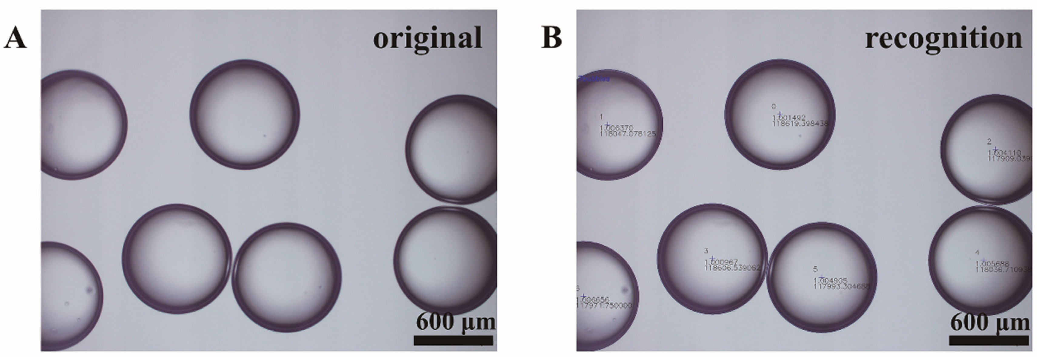 Materials 14 01263 g002