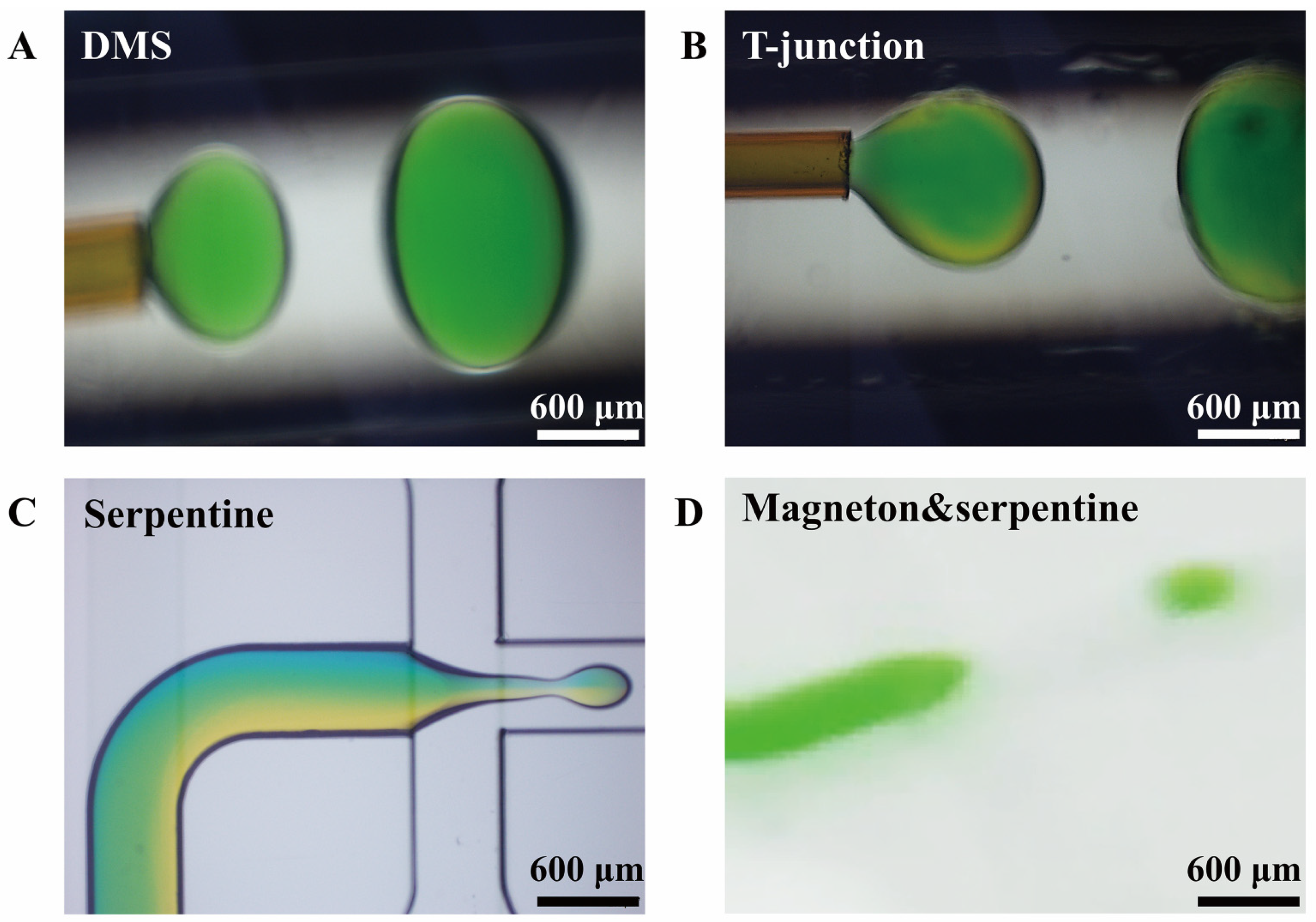 Materials 14 01263 g007