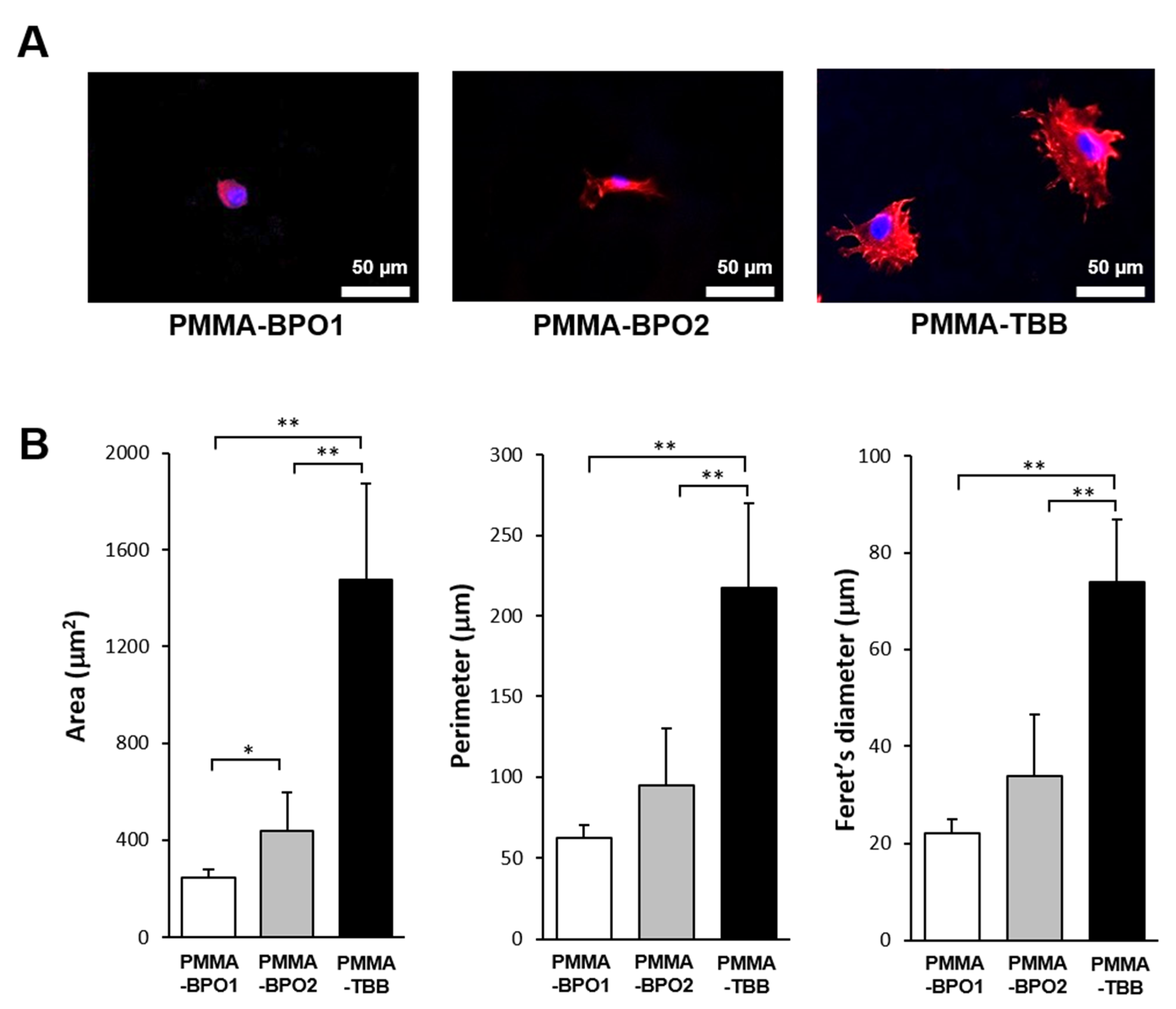 Materials 14 01289 g002 Materials 14 01289 g002