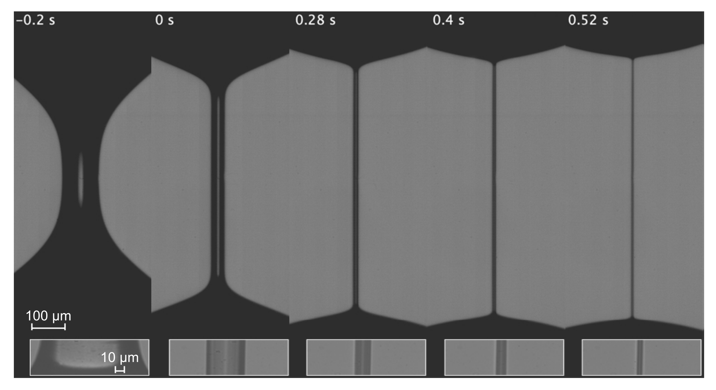 Materials 14 01294 g008