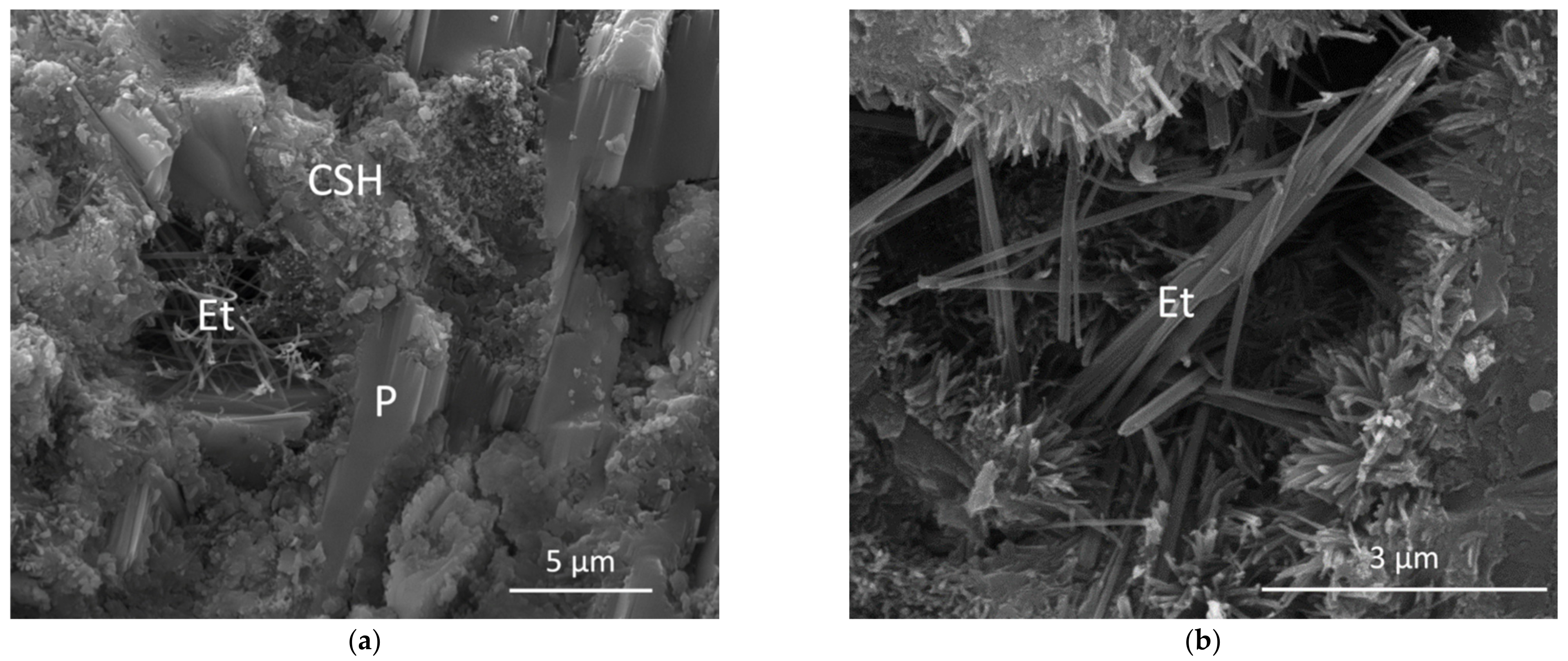 Materials 14 01299 g006