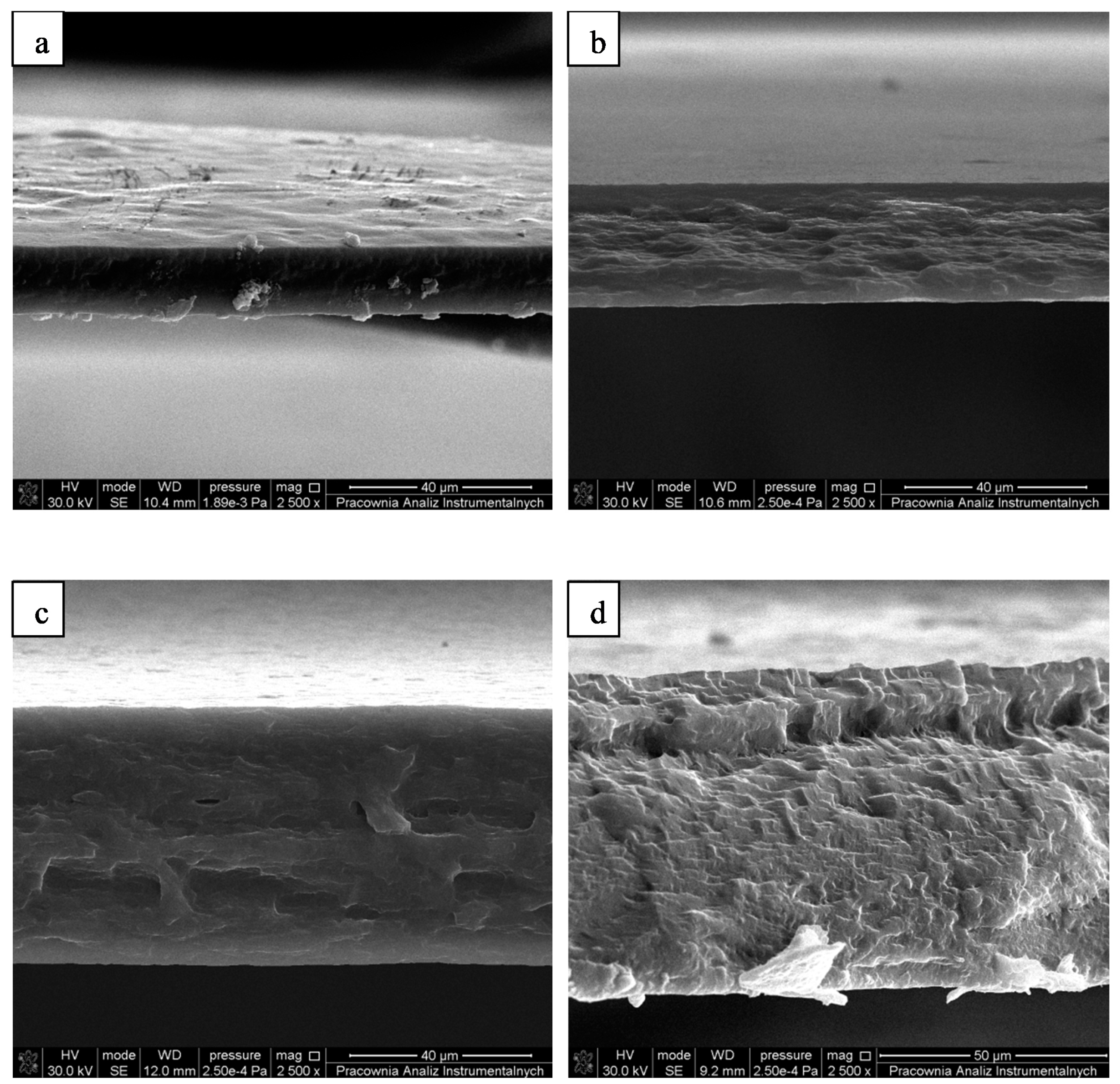 Materials 14 01322 g004