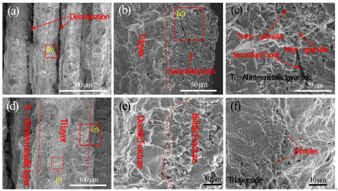Materials 14 01323 g014