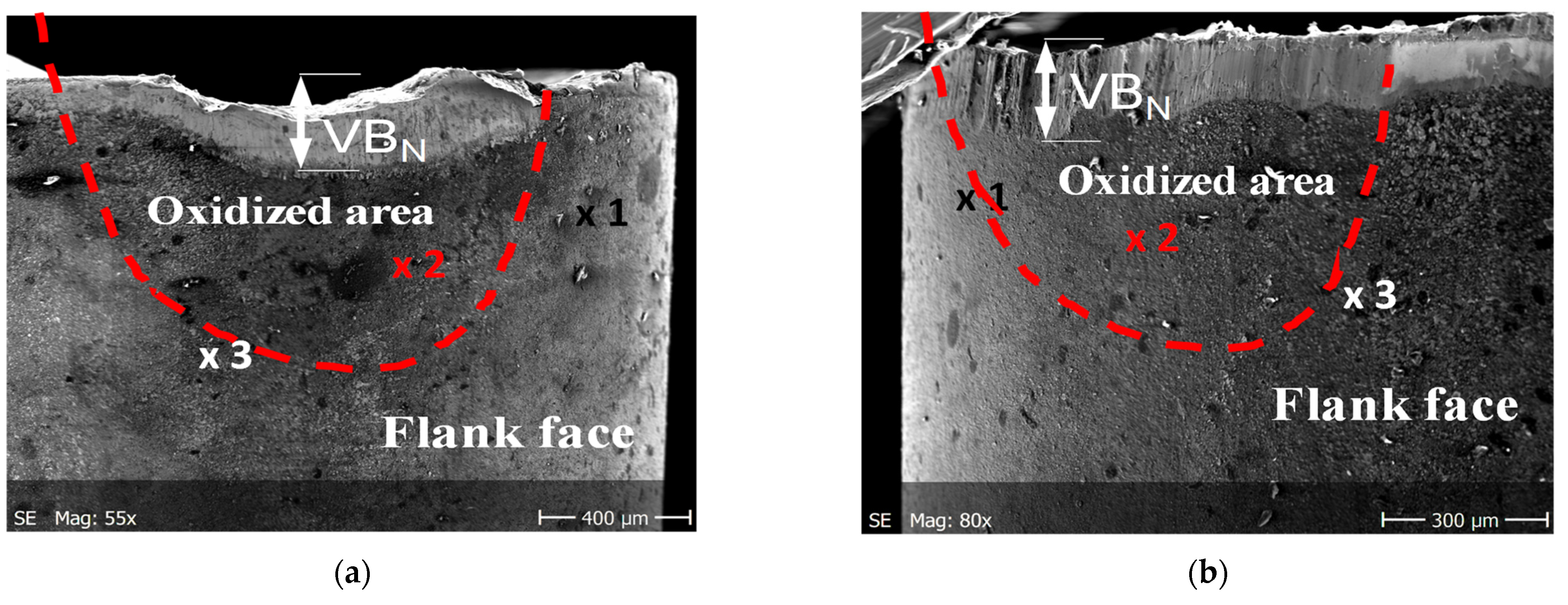 Materials 14 01330 g010