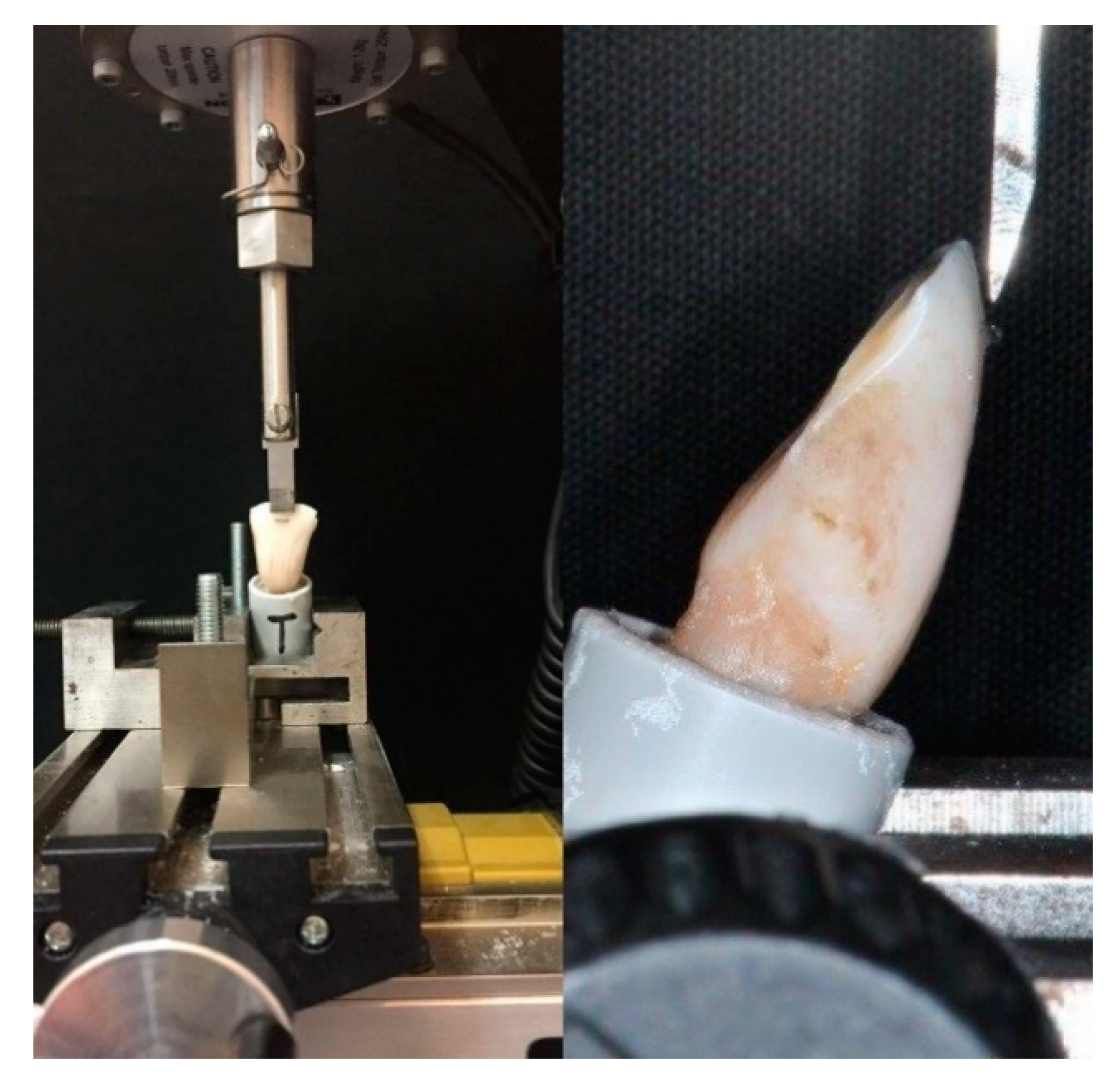 Materials 14 01341 g001