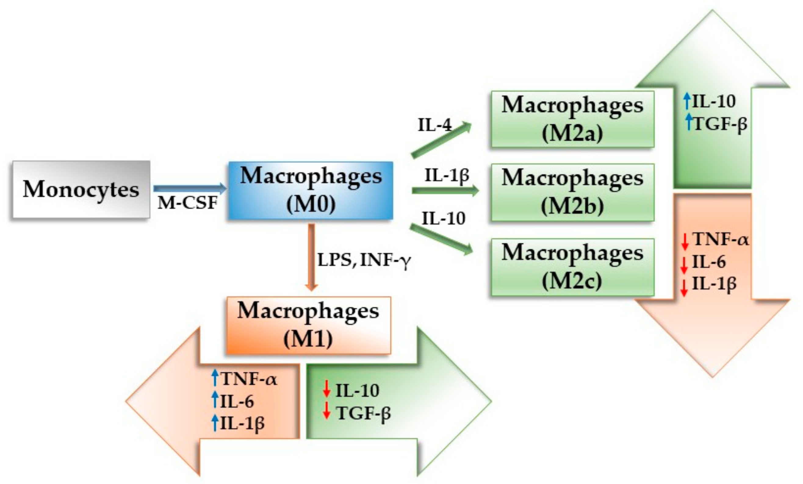Materials 14 01357 g004