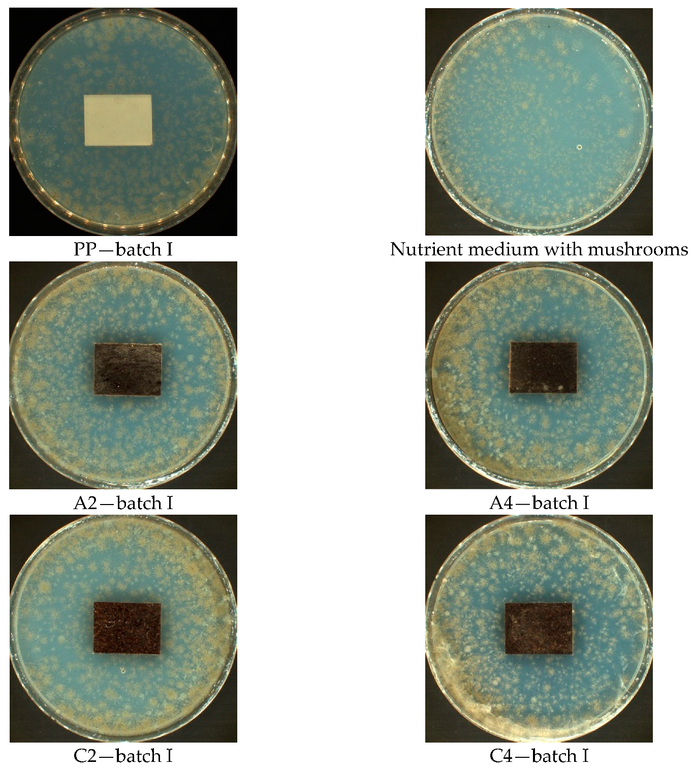 Materials 14 01368 g003a
