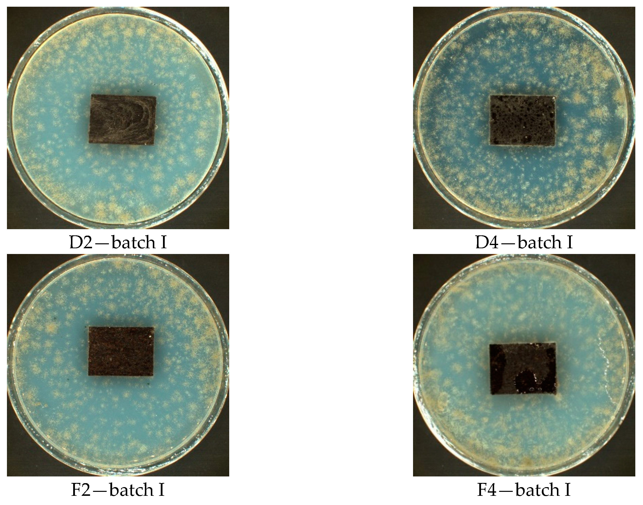 Materials 14 01368 g003b