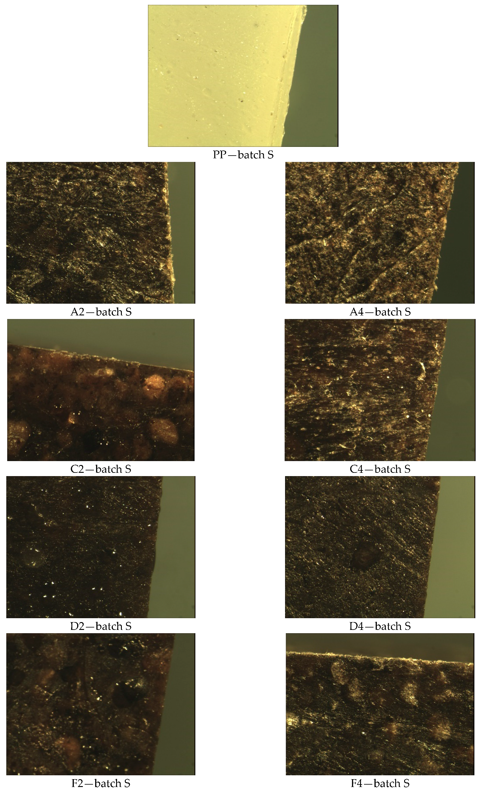 Materials 14 01368 g006