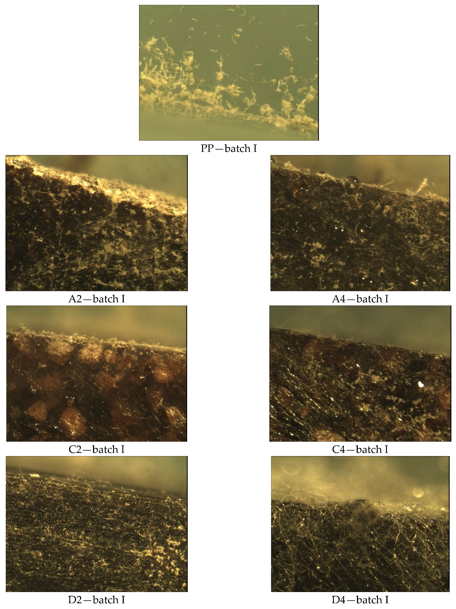 Materials 14 01368 g007a
