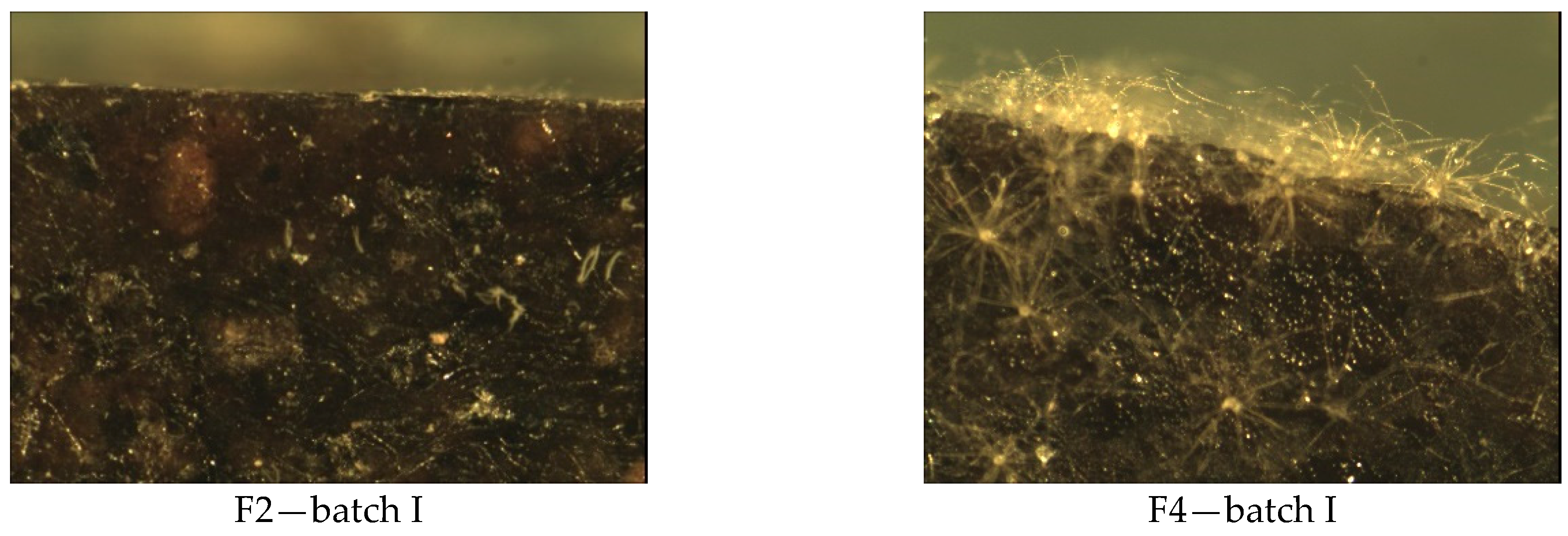 Materials 14 01368 g007b