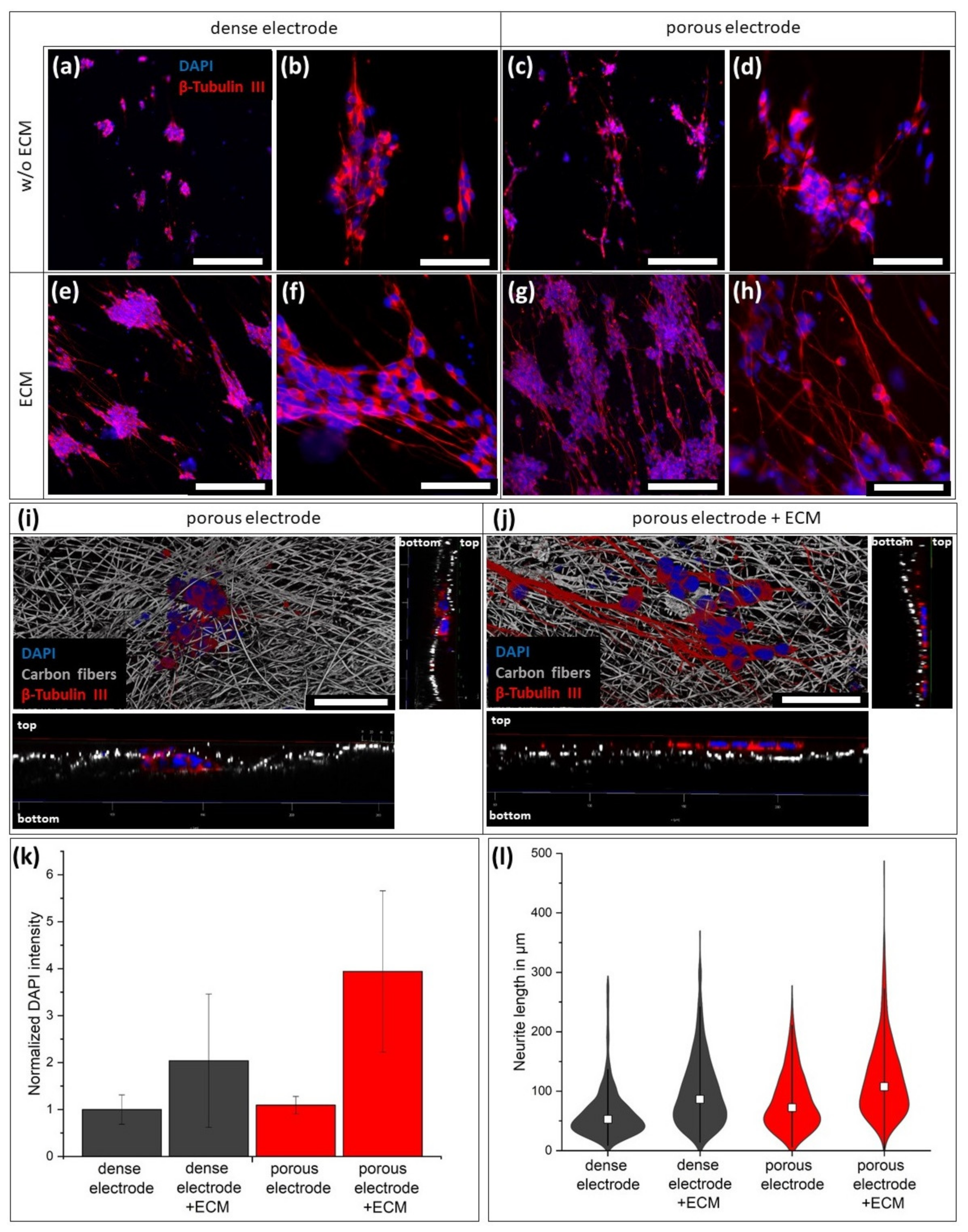 Materials 14 01378 g004