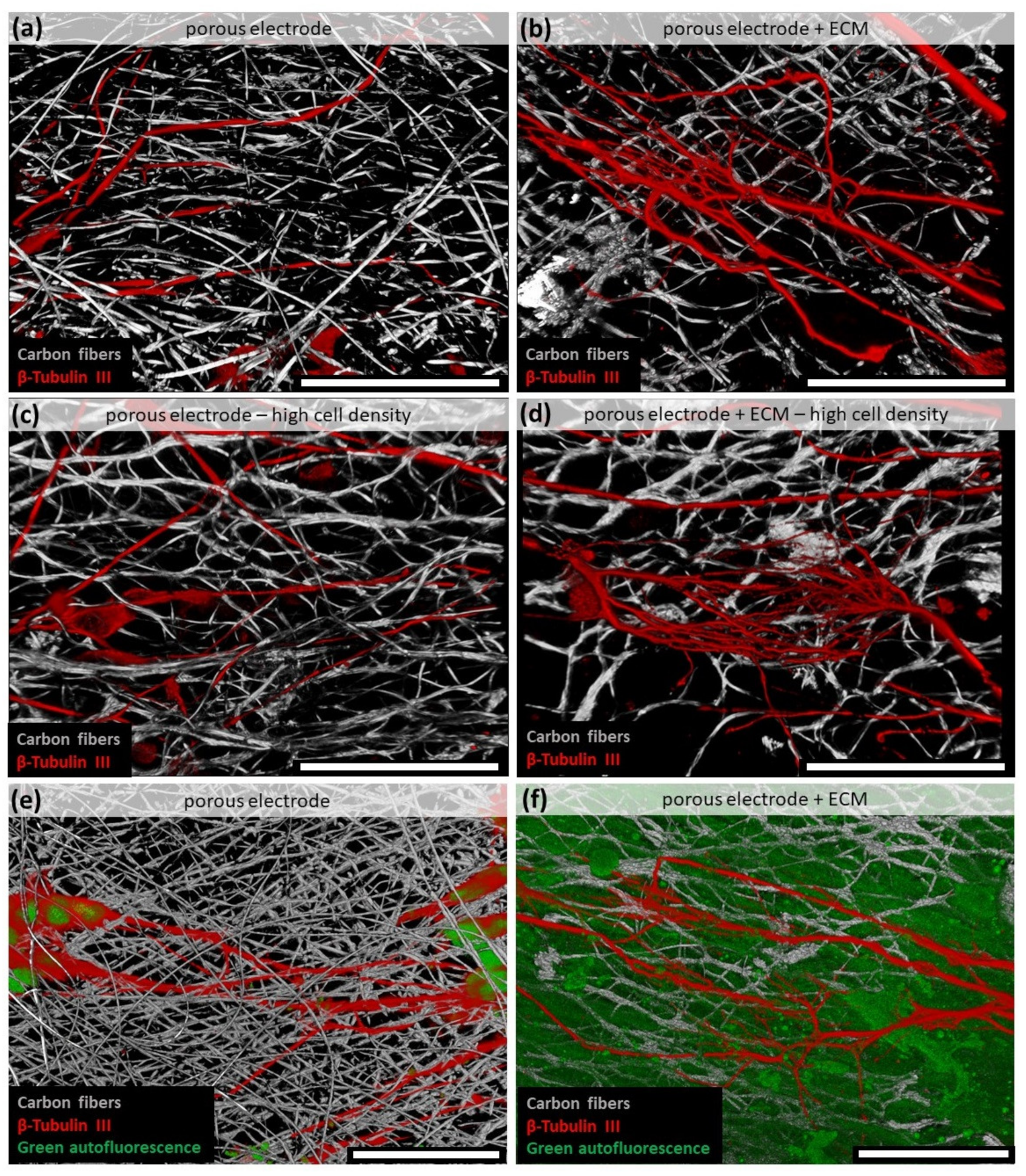 Materials 14 01378 g005