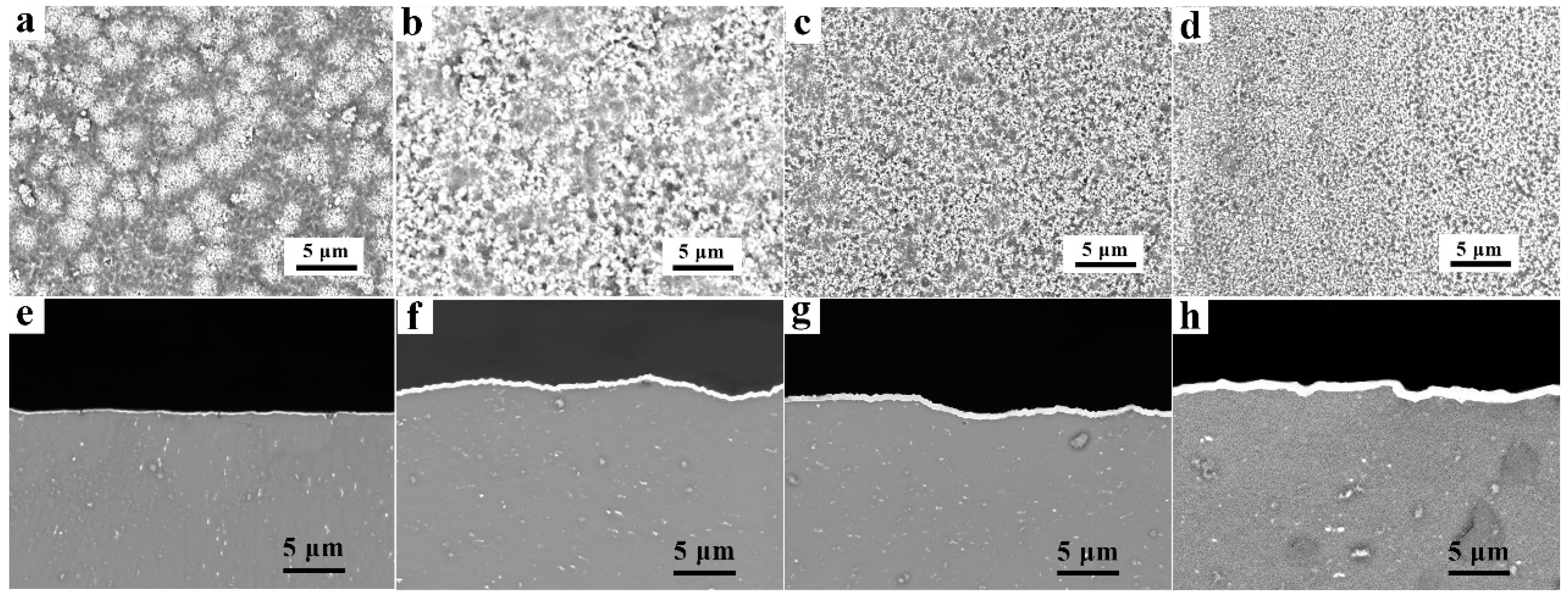 Materials 14 01407 g001 Materials 14 01407 g001