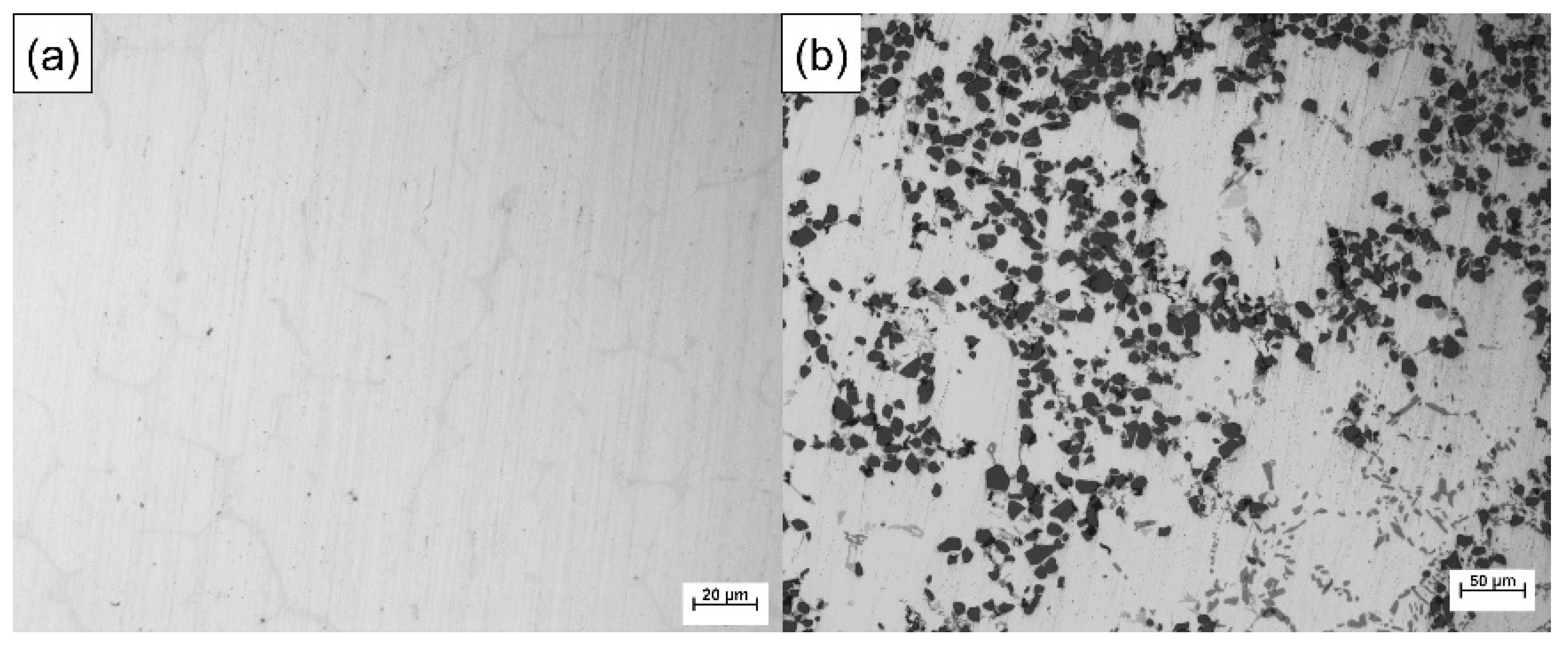 Materials 14 01412 g001 Materials 14 01412 g001