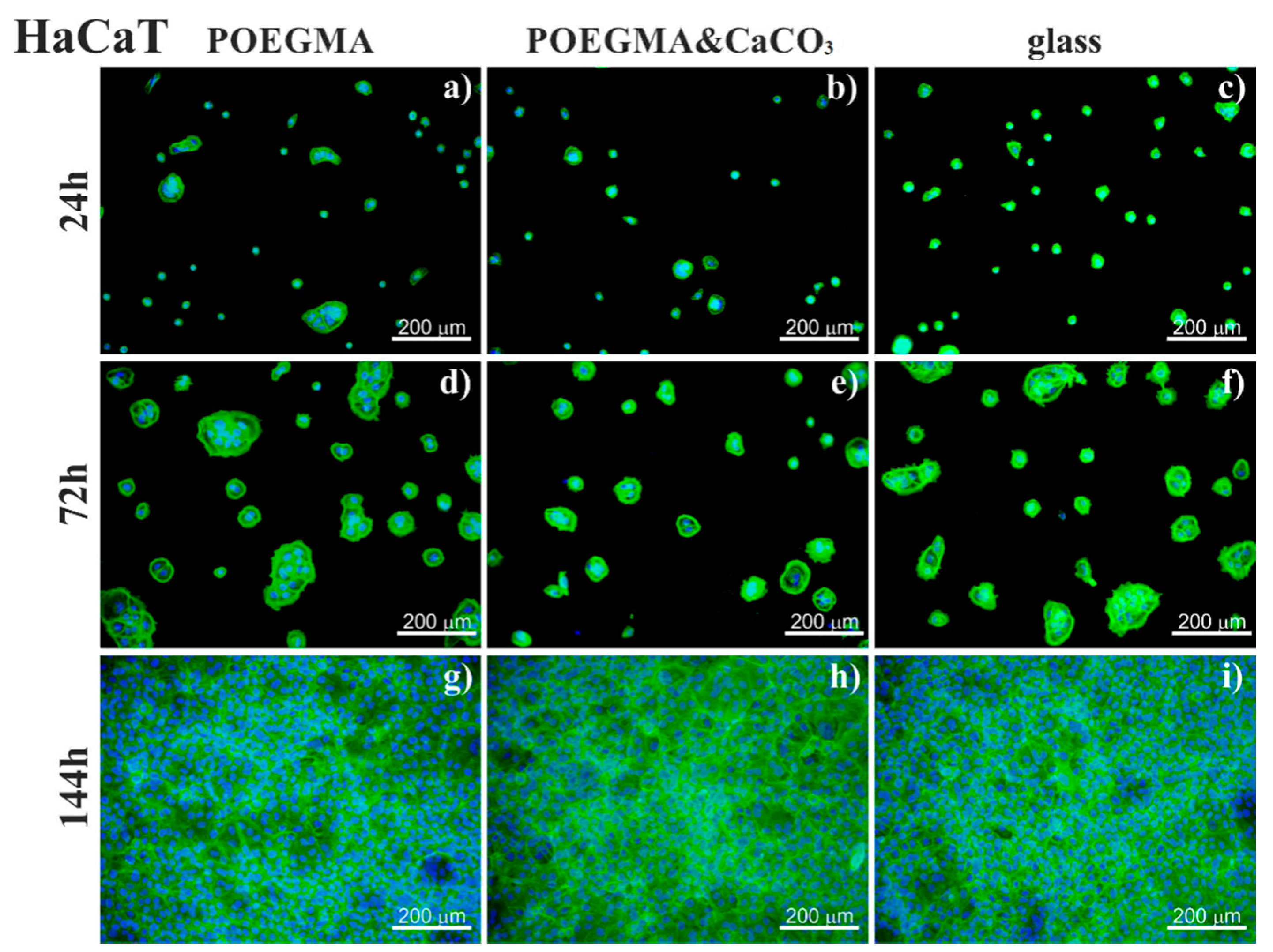 Materials 14 01417 g007 Materials 14 01417 g007