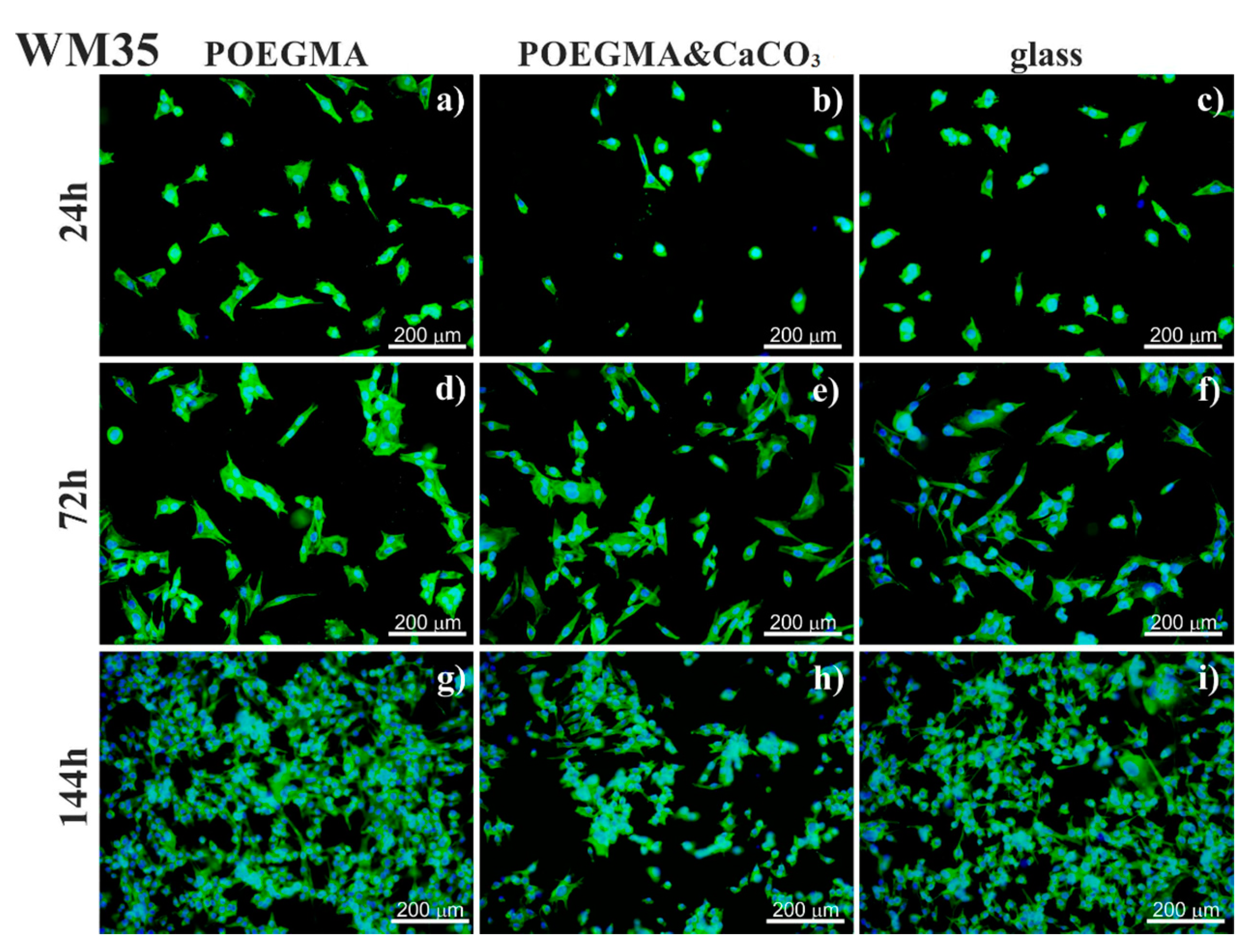 Materials 14 01417 g009 Materials 14 01417 g009