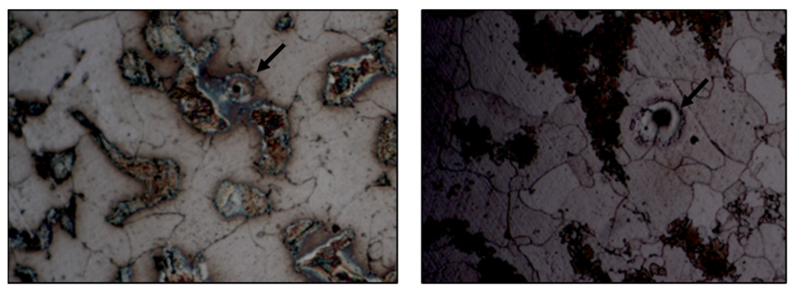 Materials 14 01429 g008 Materials 14 01429 g008