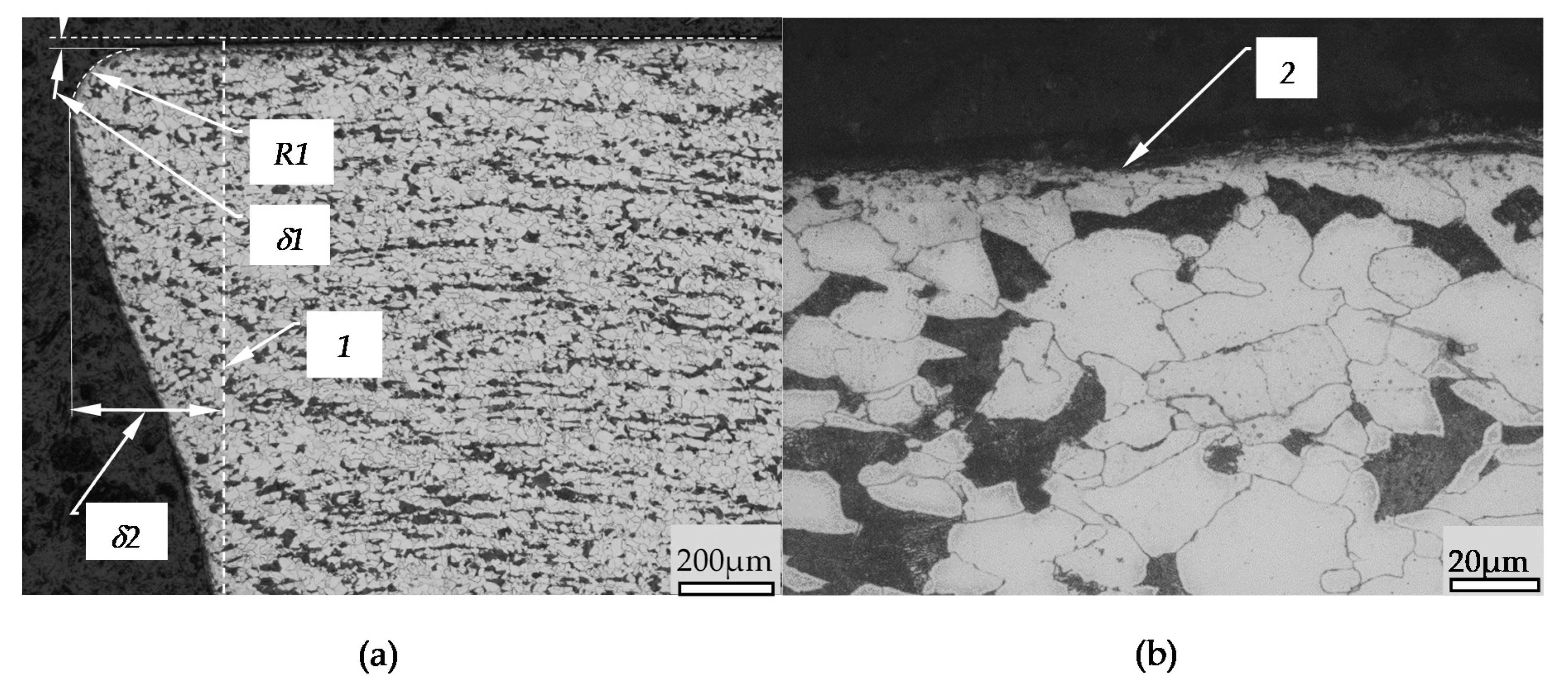 Materials 14 01441 g013 Materials 14 01441 g013